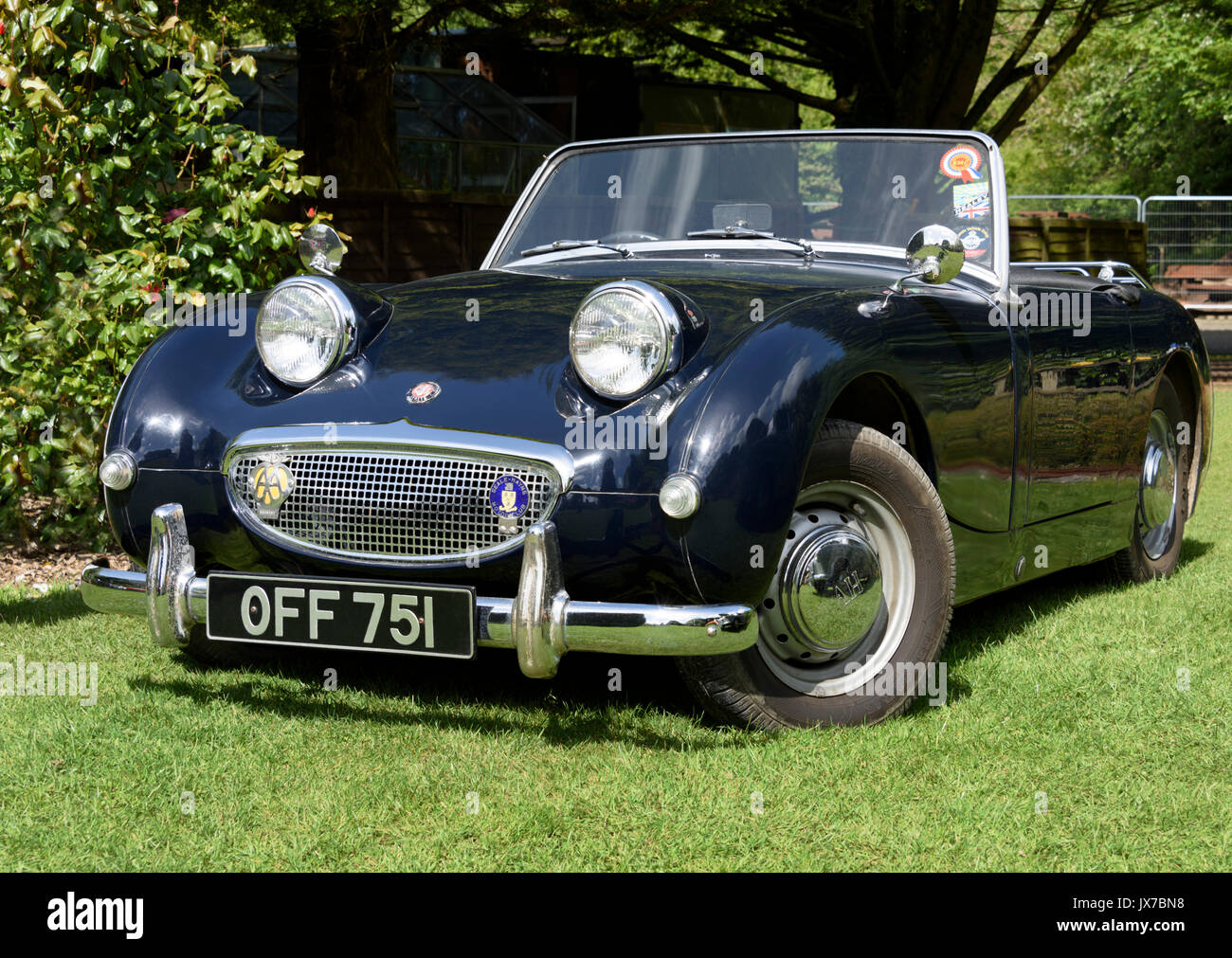 Low-angle, front three quarter view of an Austin-Healey Sprite Mark I on display in a garden setting Stock Photo