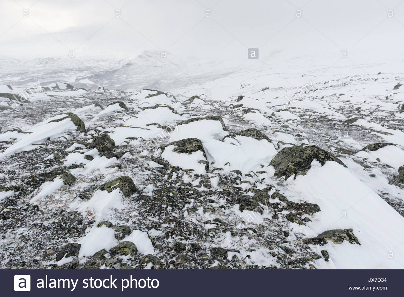 Driven By Winter Wind >> Wind Driven Snow Stock Photos Wind Driven Snow Stock Images Alamy Driven By Winter Wind >> Wind Driven Snow Stock Photos Wind Driven Snow Stock Images Alamy