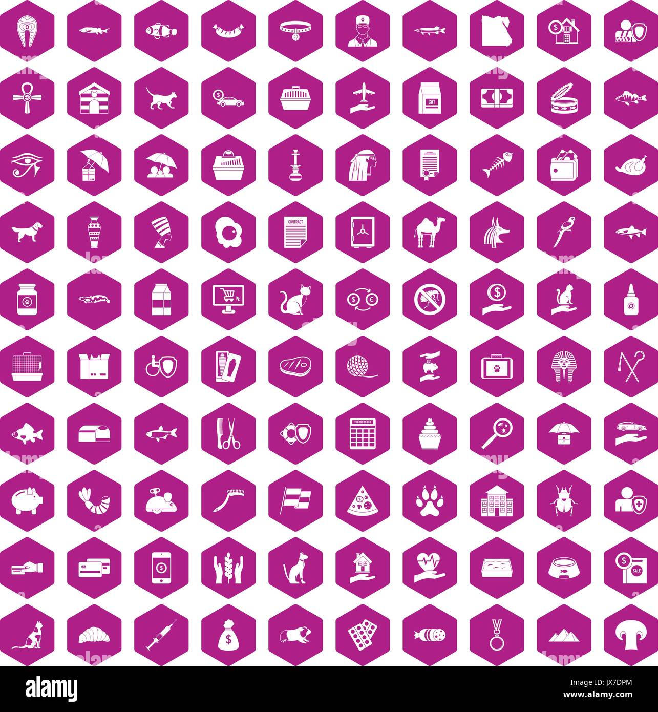 100 cat icons hexagon violet Stock Vector