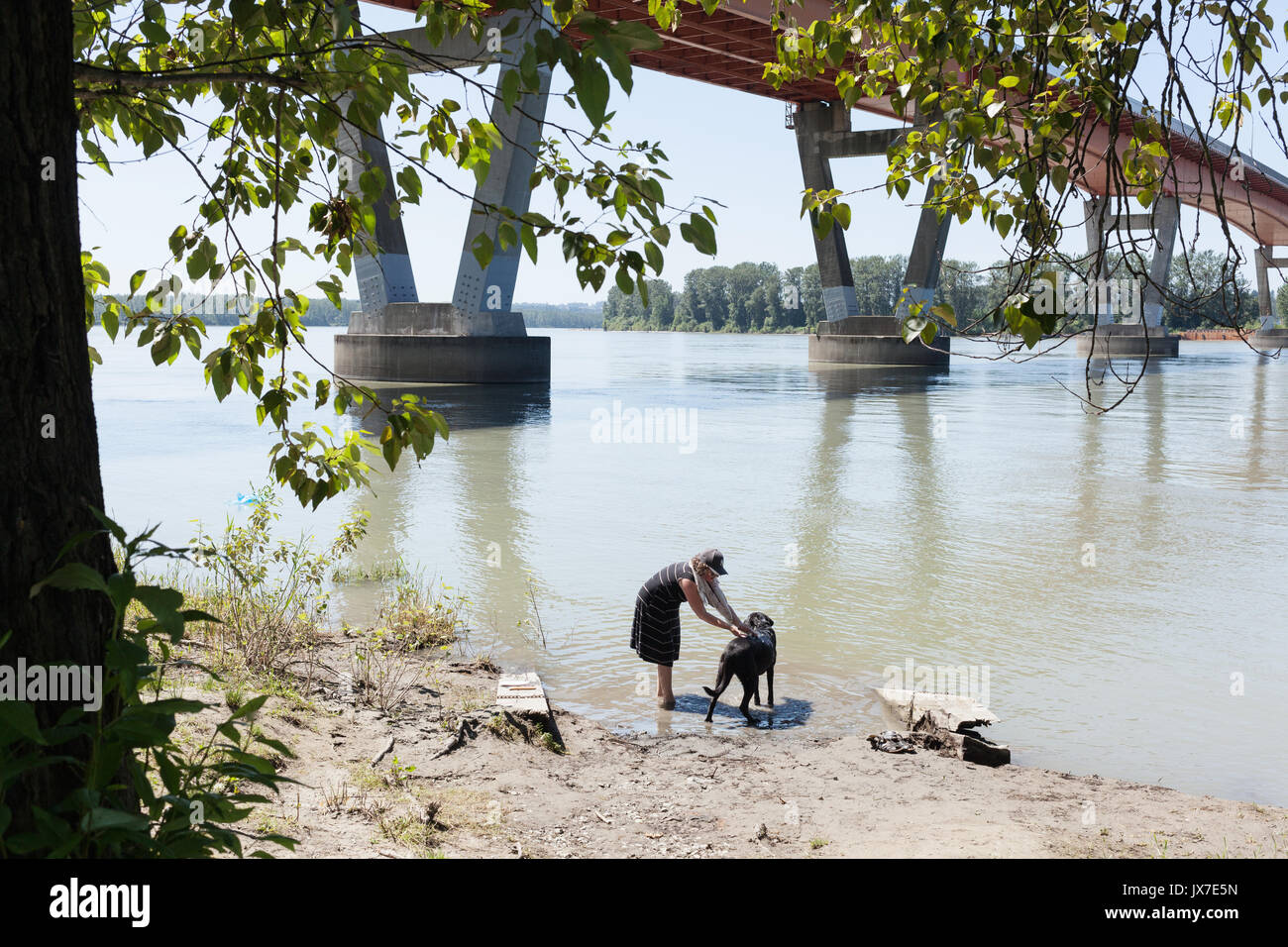 Woman cooling down her dog at river on hot day.   Mission, BC Canada Stock Photo
