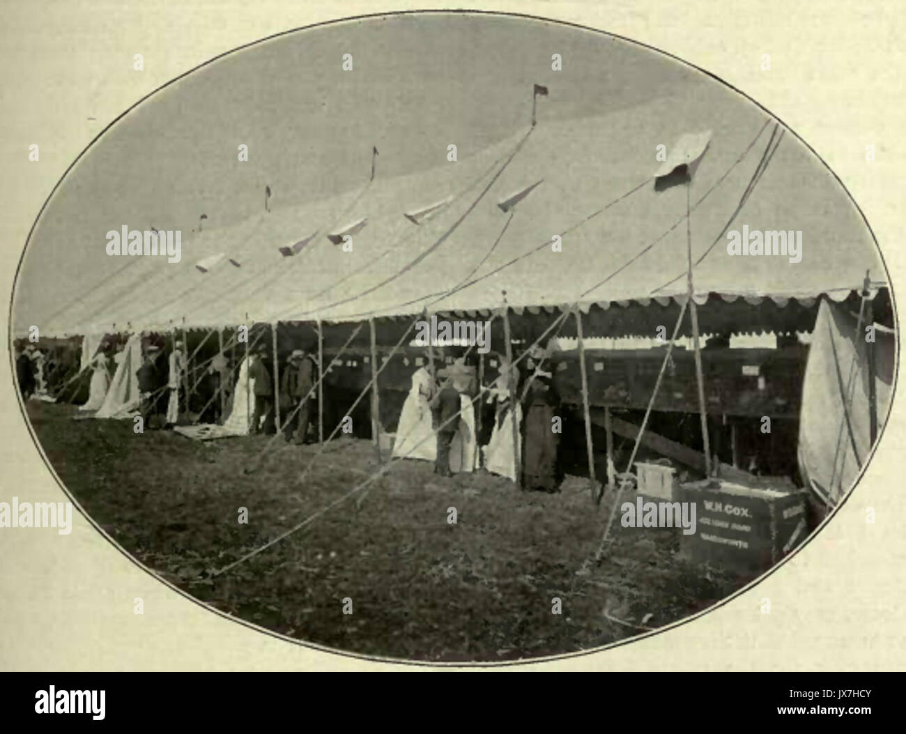 Richmond Cat Show   Tents Stock Photo