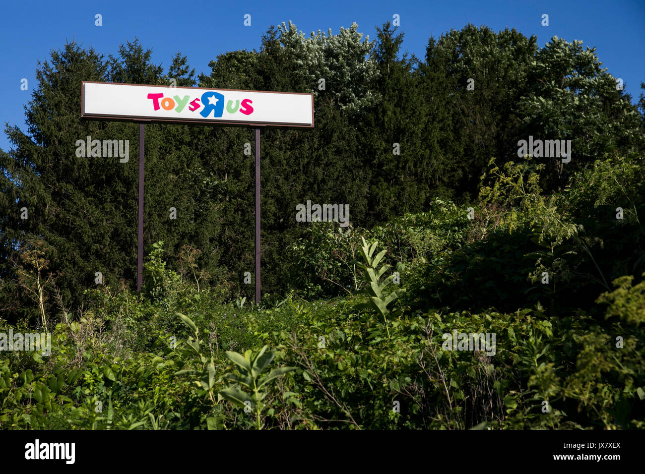 Toys r us hires stock photography and images Alamy