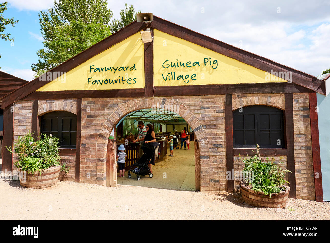 Farmyard Favourites And Guinea Pig Village An Attraction Within Hatton Adventure World, Hatton