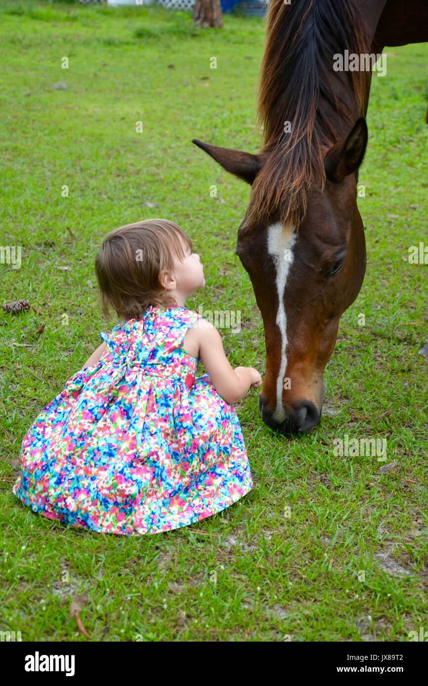 A toddler feeding and talking to a horse. Stock Photo