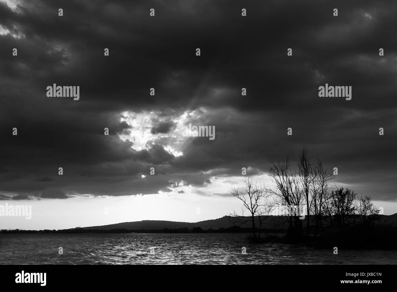 Sunset on a lake, with the sun hidden behind some big and dark clouds, water reflections and skeletal trees Stock Photo