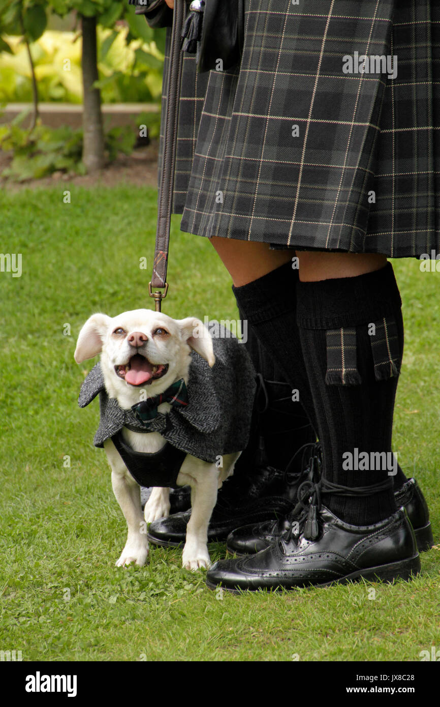 Kilt wedding hi-res stock photography and images - Alamy