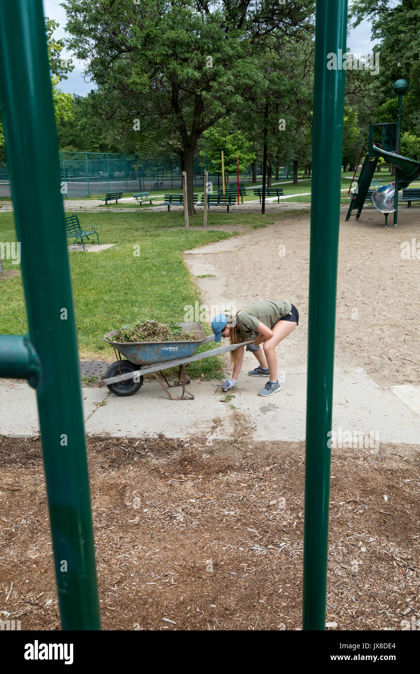 Detroit, Michigan - Volunteers from Fiat Chrysler Automobiles (FCA) clean weeds from the playground at Clark Park as part of the Summer in the City pr Stock Photo