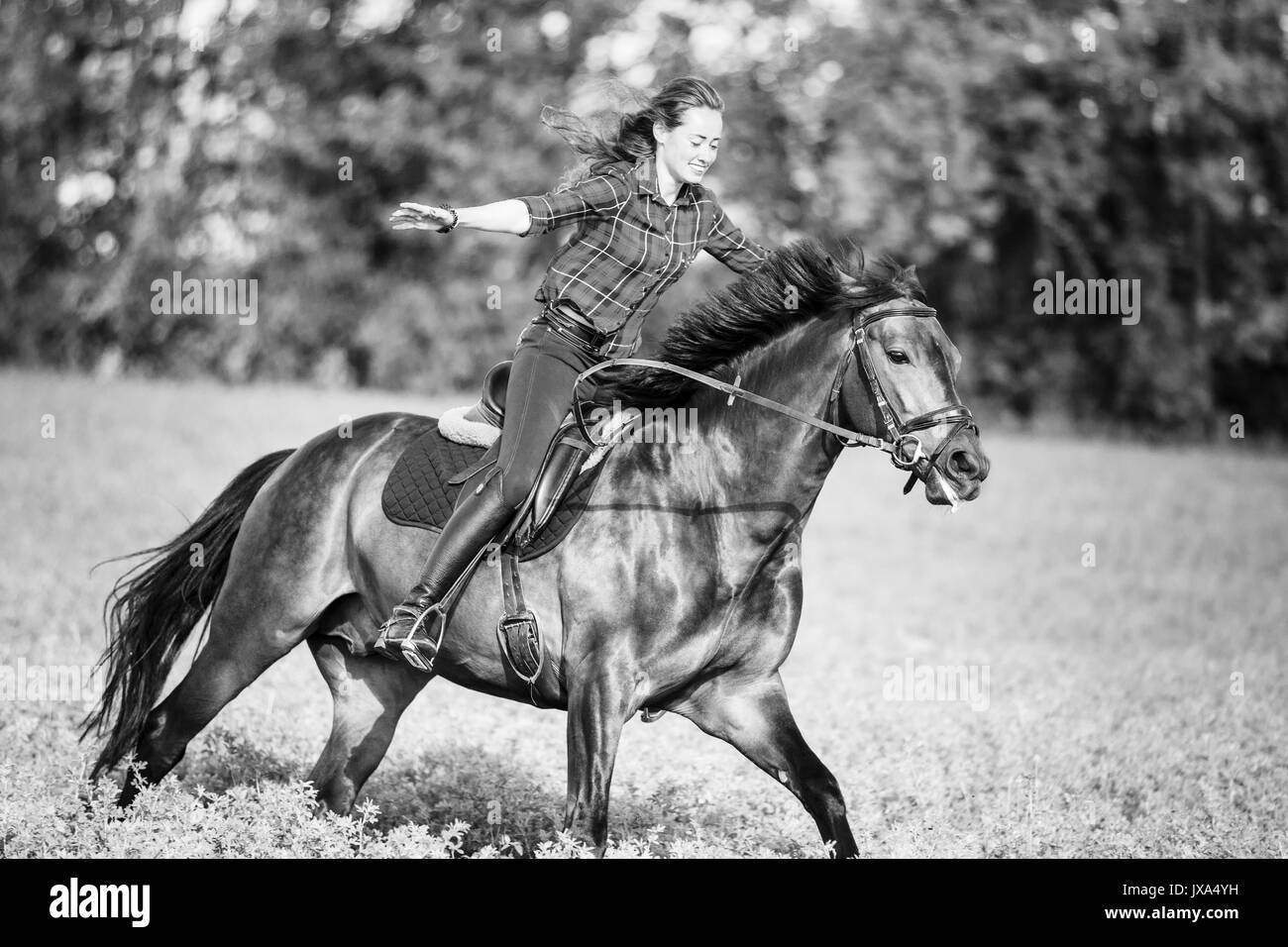 Happy young woman riding galloping horse at sunny summer day. Freedom equestrian concept image Stock Photo