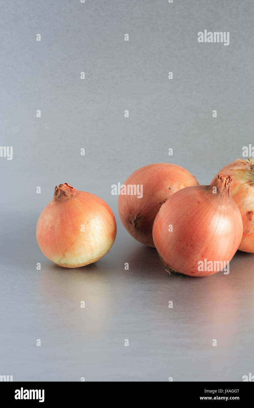 Onion bulb cross section hi-res stock photography and images - Alamy