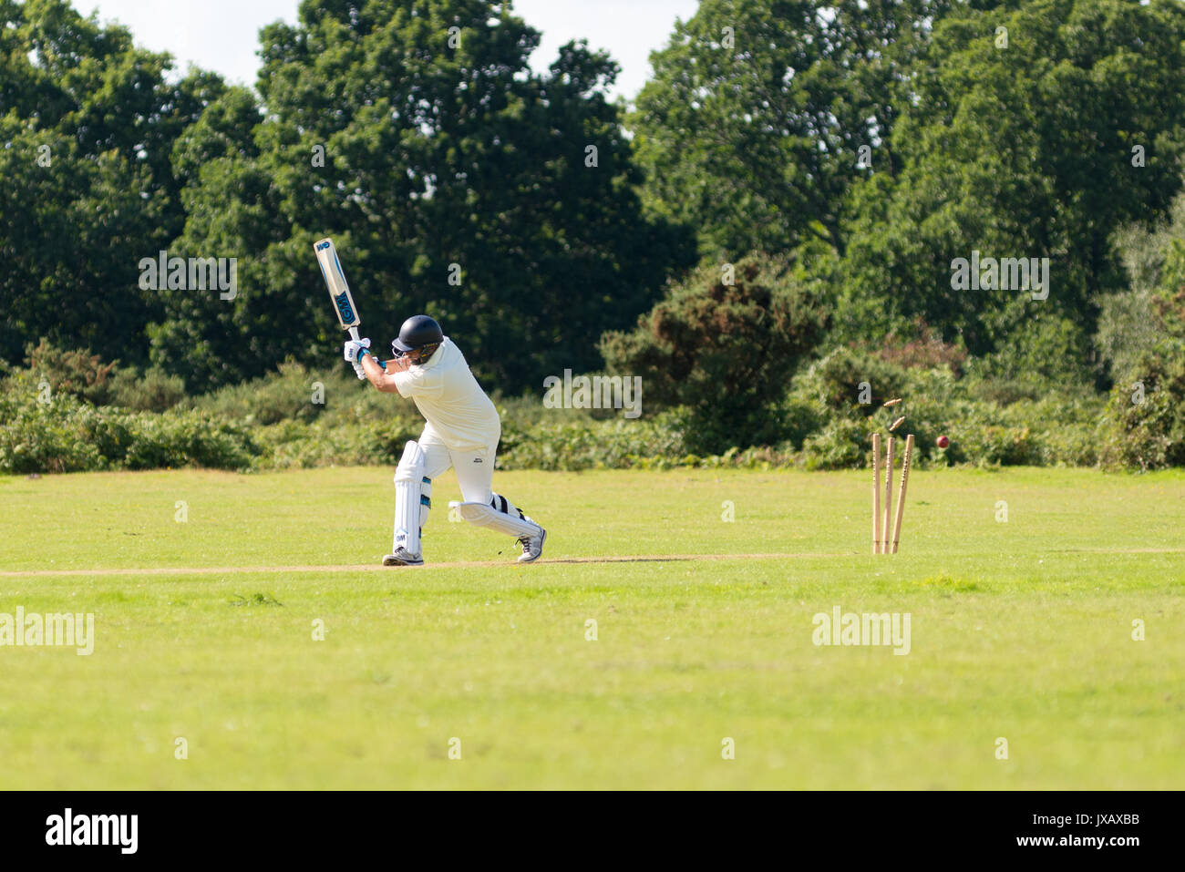 A cricket ball smashes through the wickets sending the bails flying after a missed shot by the batsman during a village match in the New Forest, UK. Stock Photo