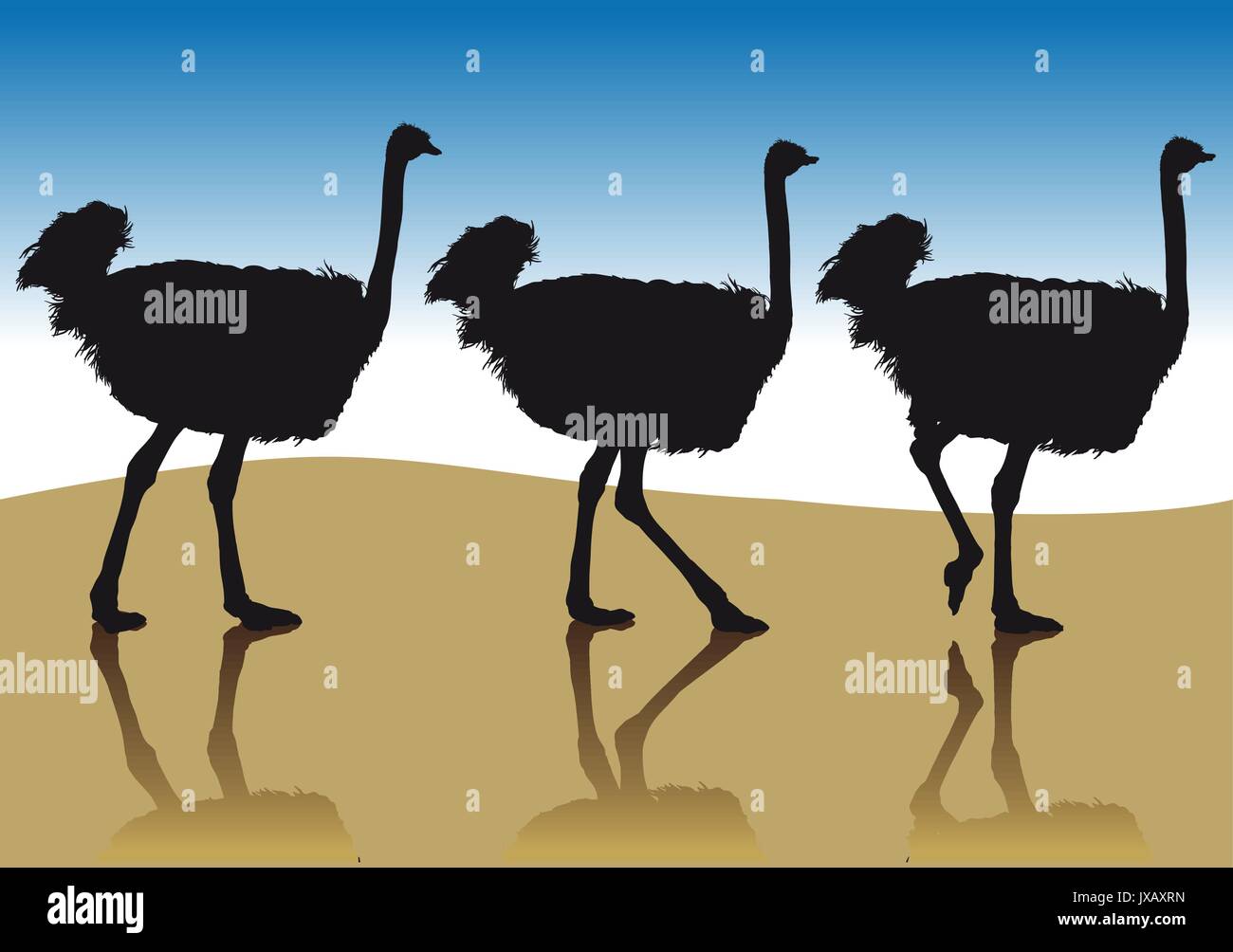 Ostrich in profile Stock Vector