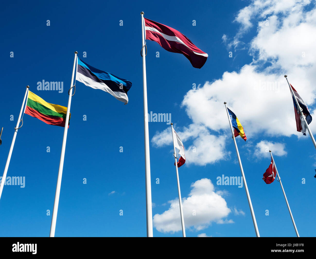 Flags Flying against a Blue Sky at Hull Marina Hull Yorkshire England