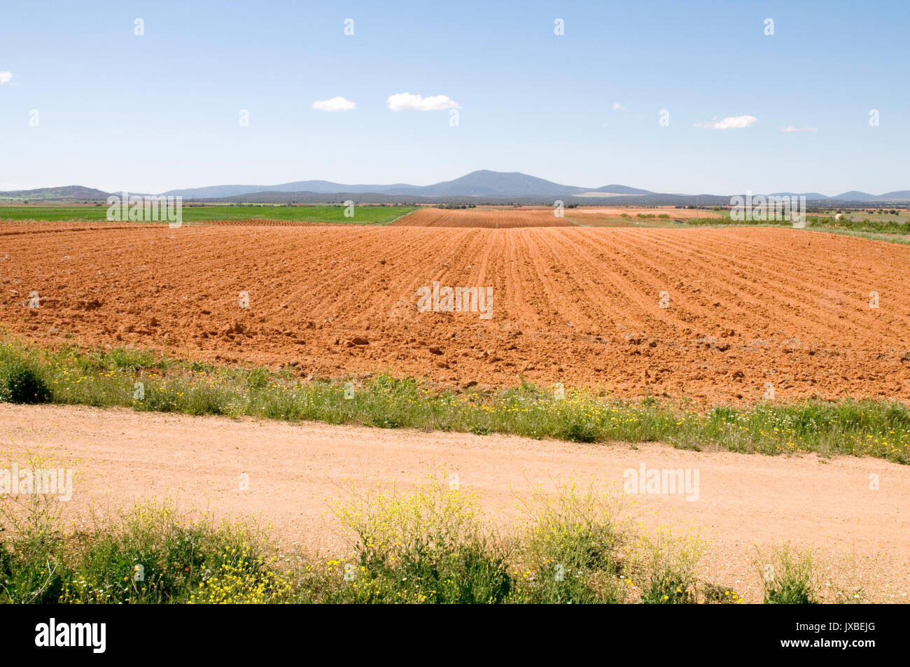 Fallow land. Toledo province, Castilla La Mancha, Spain. Stock Photo