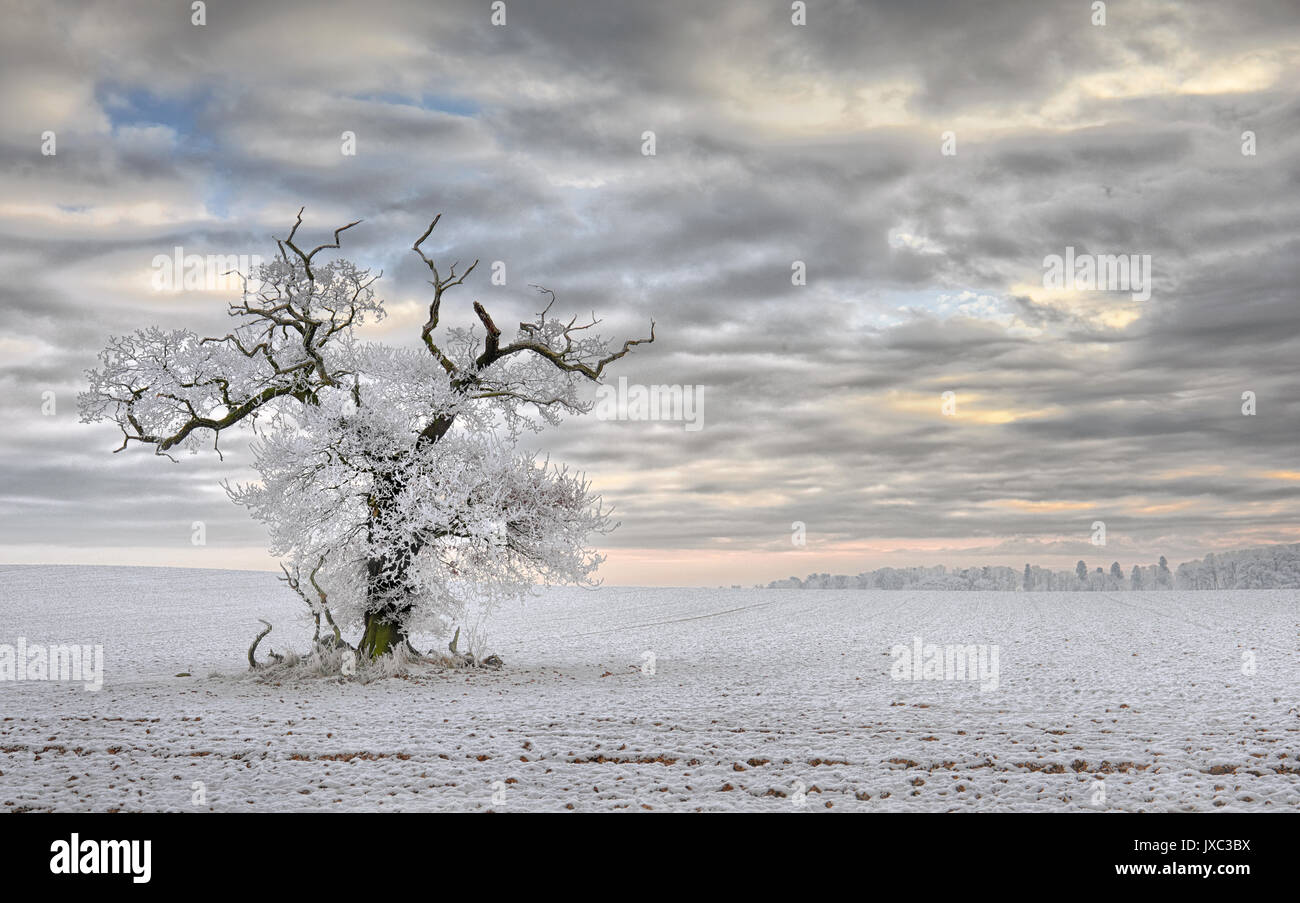 A Winters Day Stock Photo