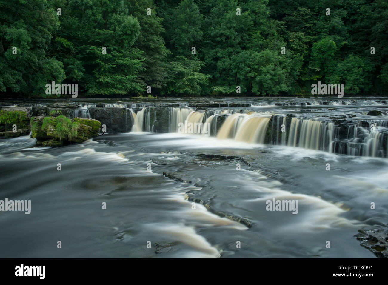 Famous Aysgarth Falls waterfall (Upper Falls) near Hawes, Yorkshire Dales National Park, England
