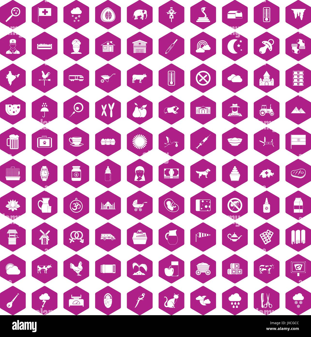 100 cow icons hexagon violet Stock Vector