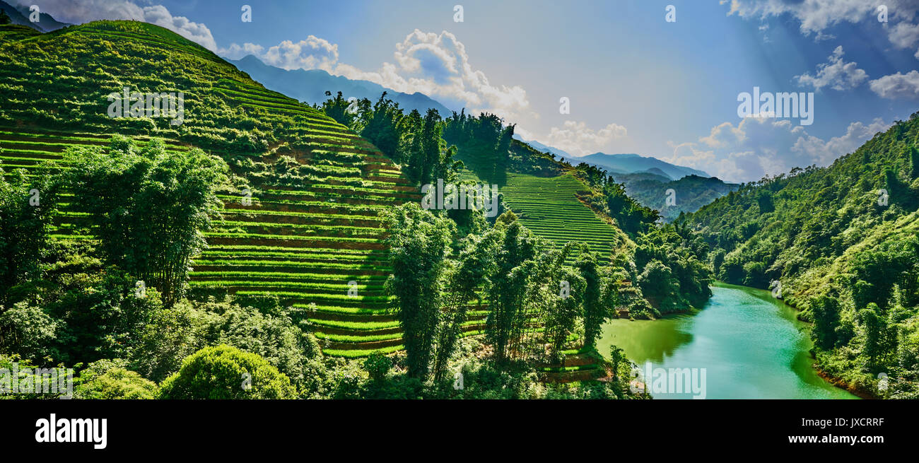 green rice fields in the mountains of vietnam Stock Photo