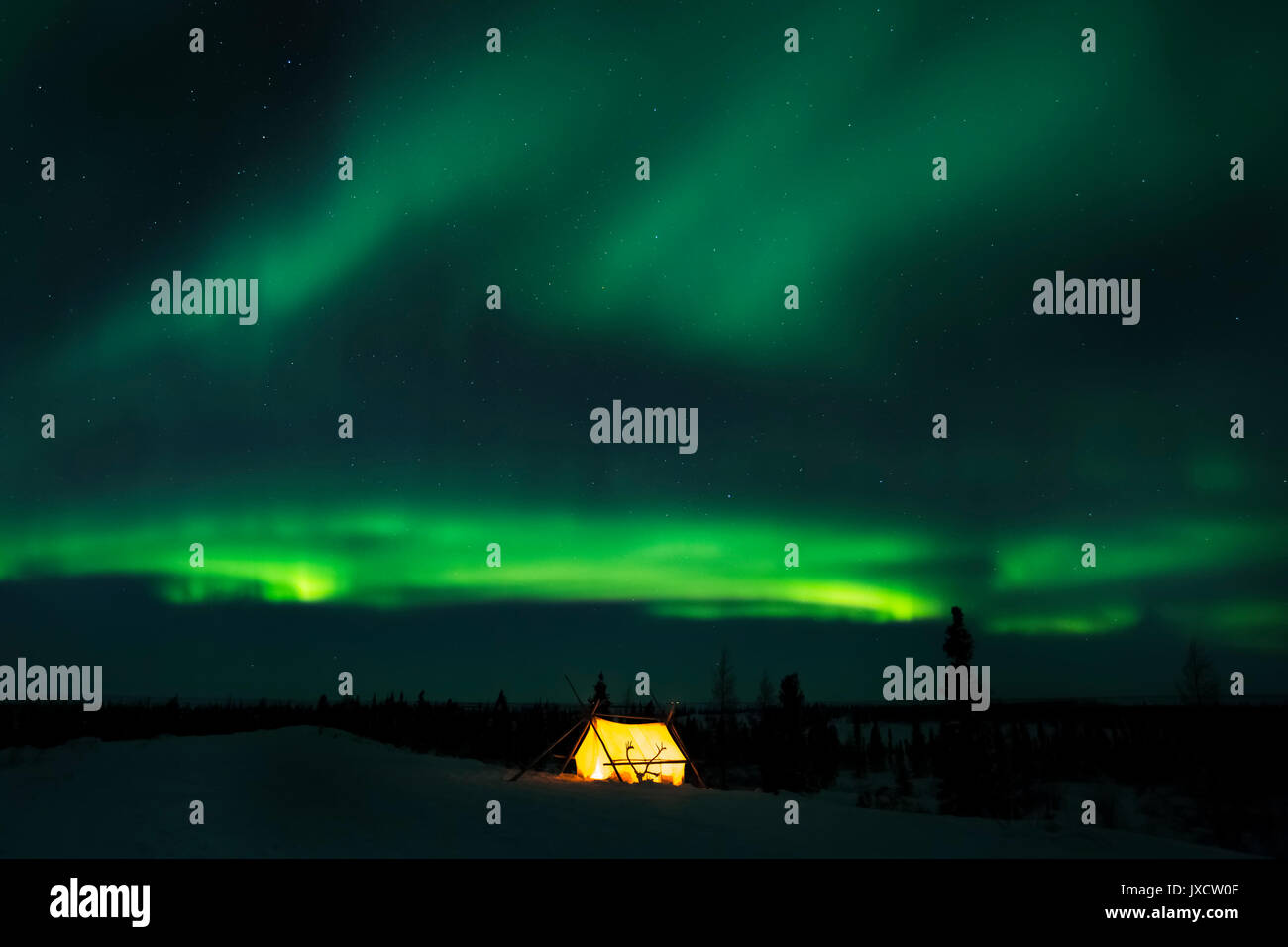 Nightsky and trappers tent lit up with aurora borealis, northern lights, wapusk national park, Manitoba, Canada. Stock Photo