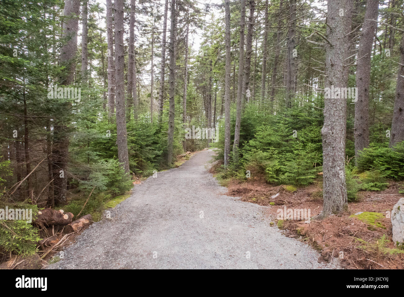 Pretty Marsh on Mount Desert in Maine USA Stock Photo Alamy