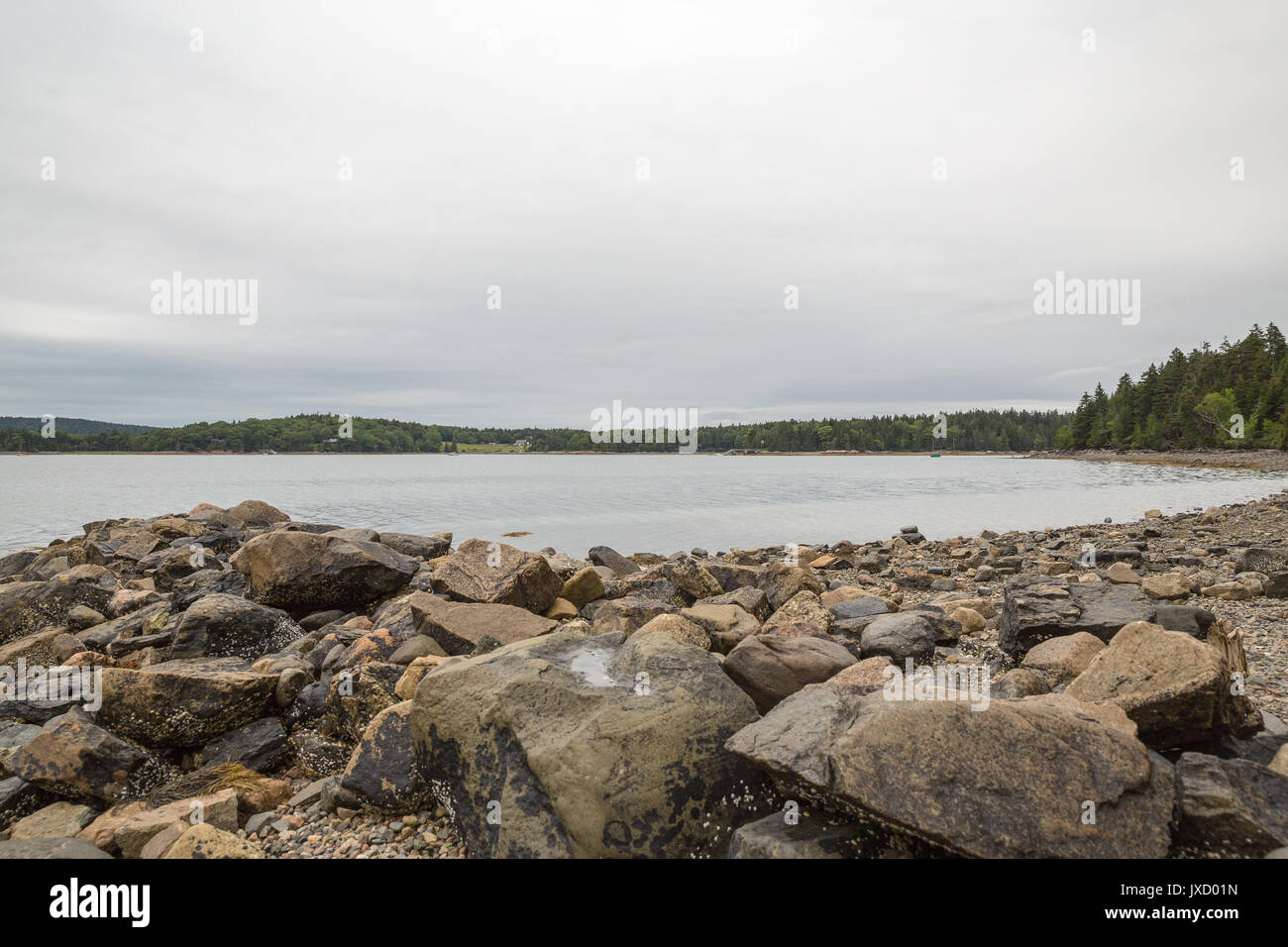 Pretty Marsh on Mount Desert in Maine USA Stock Photo Alamy