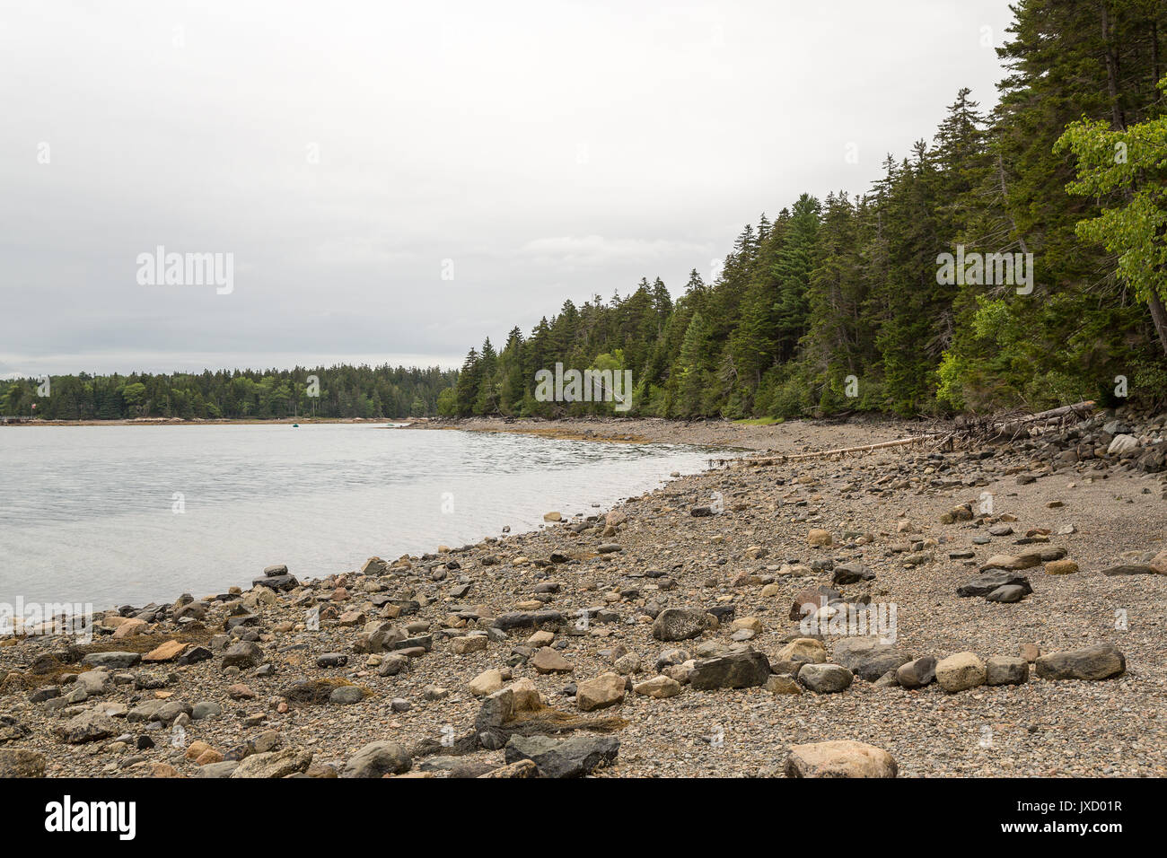 Pretty Marsh on Mount Desert in Maine USA Stock Photo - Alamy