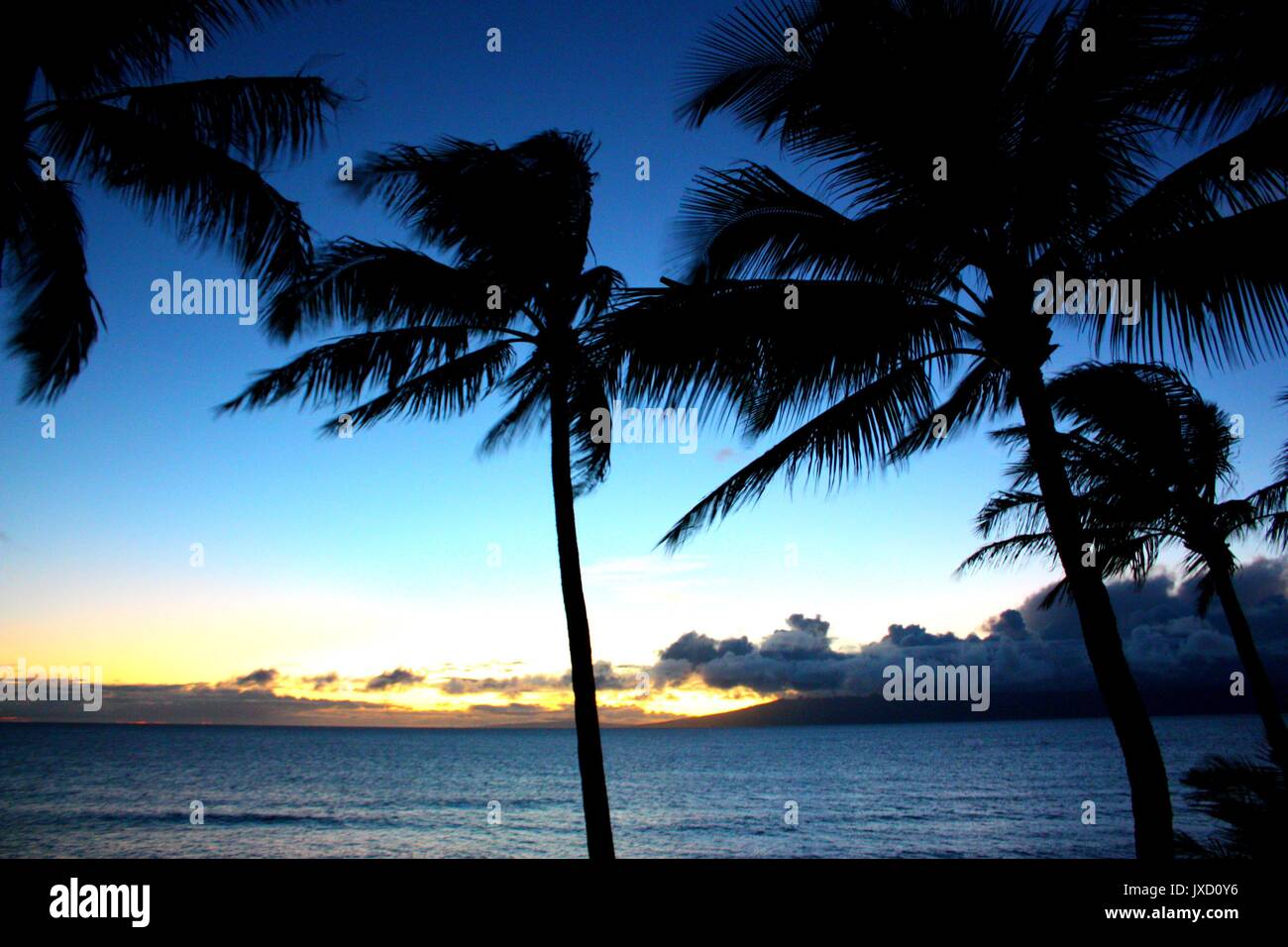Palm trees sunset maui hawaii hi-res stock photography and images - Alamy