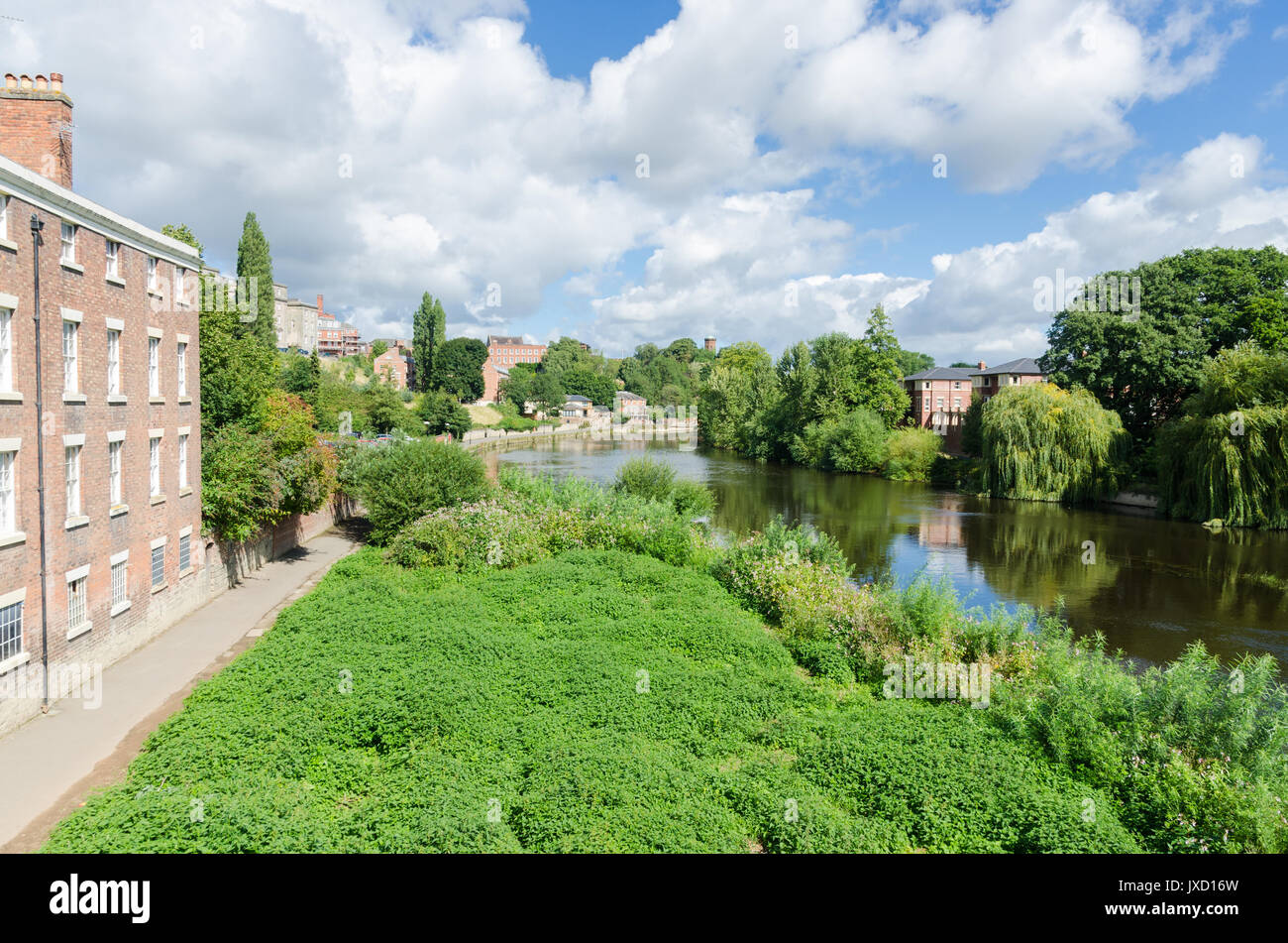 Overgrown banks of the River Severn in Shrewsbury viewed from the English Bridge Stock Photo