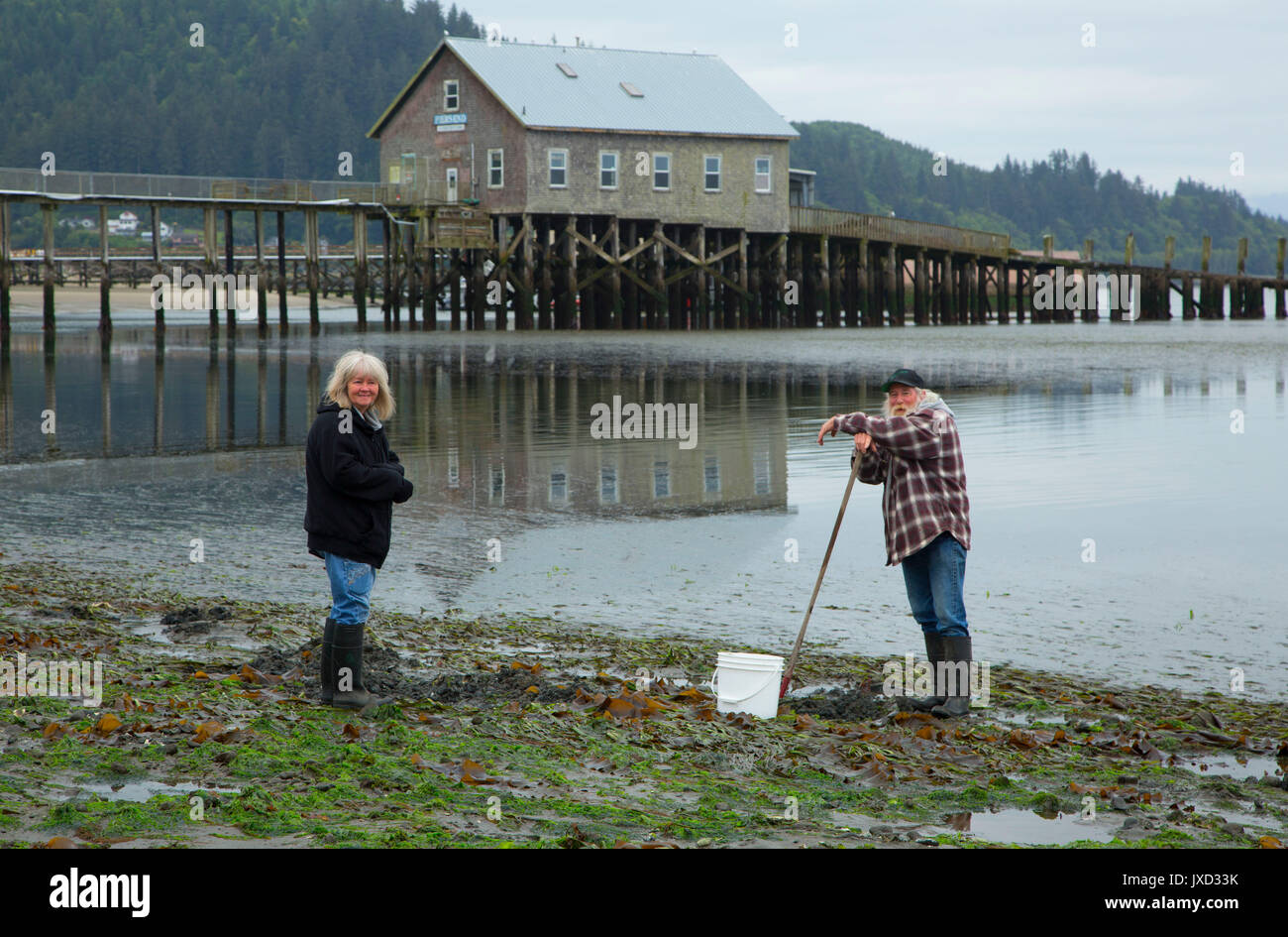 Clamming by Pier's End, Garibaldi, Oregon Stock Photo Alamy