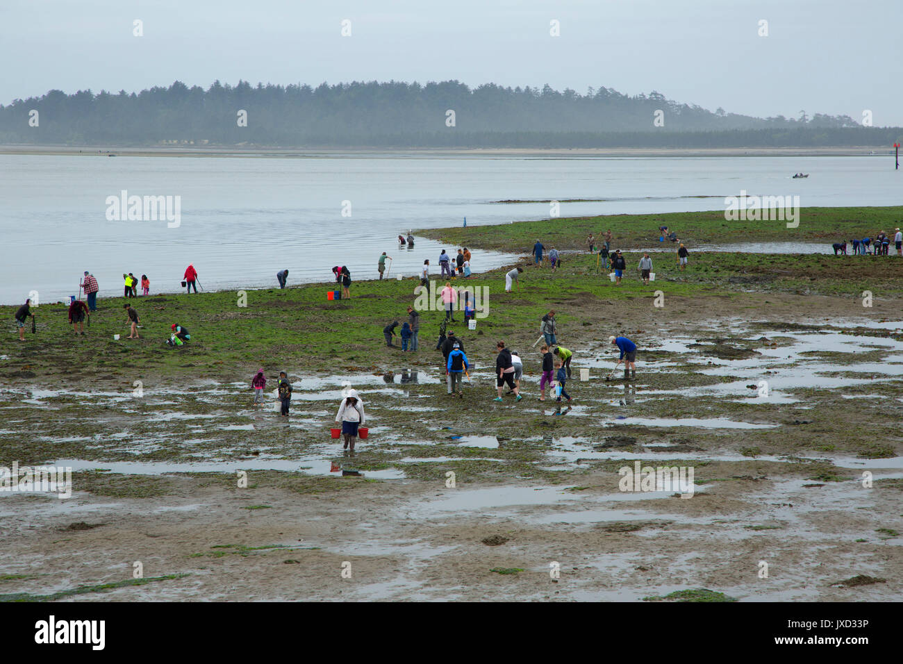 Clamming by Pier's End, Garibaldi, Oregon Stock Photo Alamy