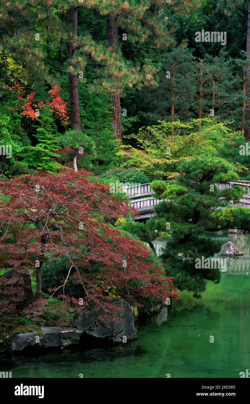 Japanese Garden Manito Park Spokane Washington Stock Photo