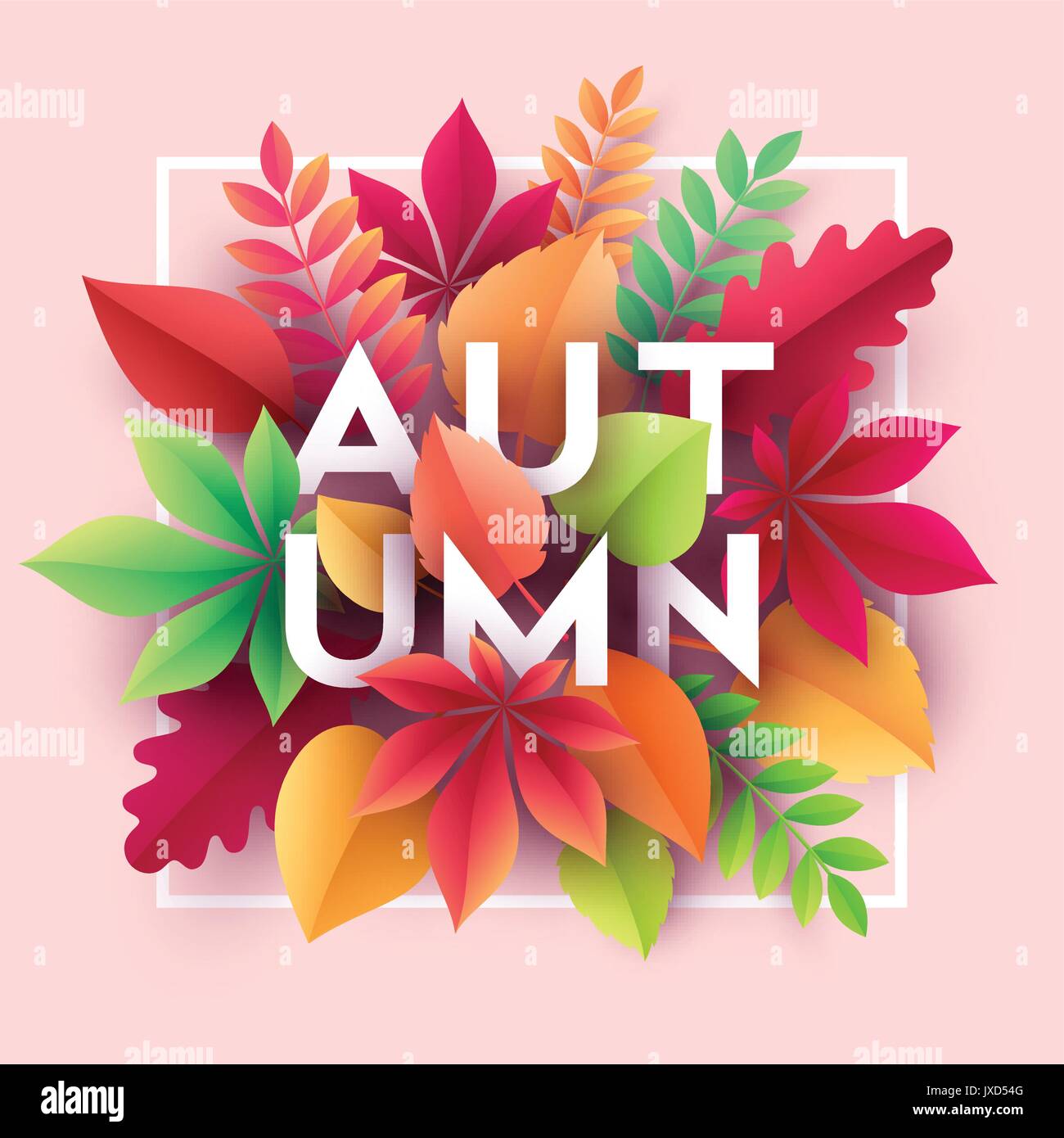 Autumn banner background with paper fall leaves. Vector illustration ...