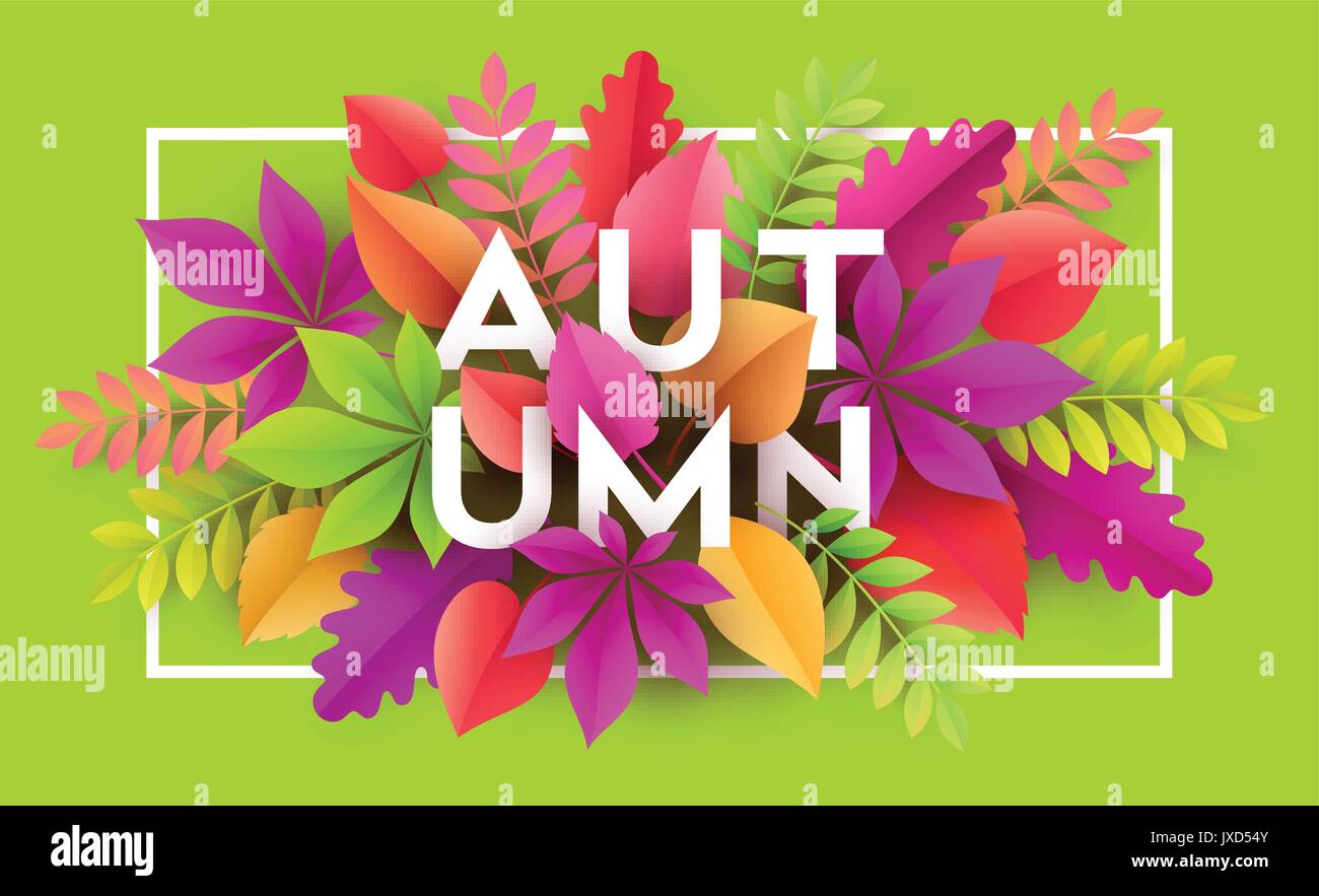 Autumn banner background with paper fall leaves. Vector illustration ...