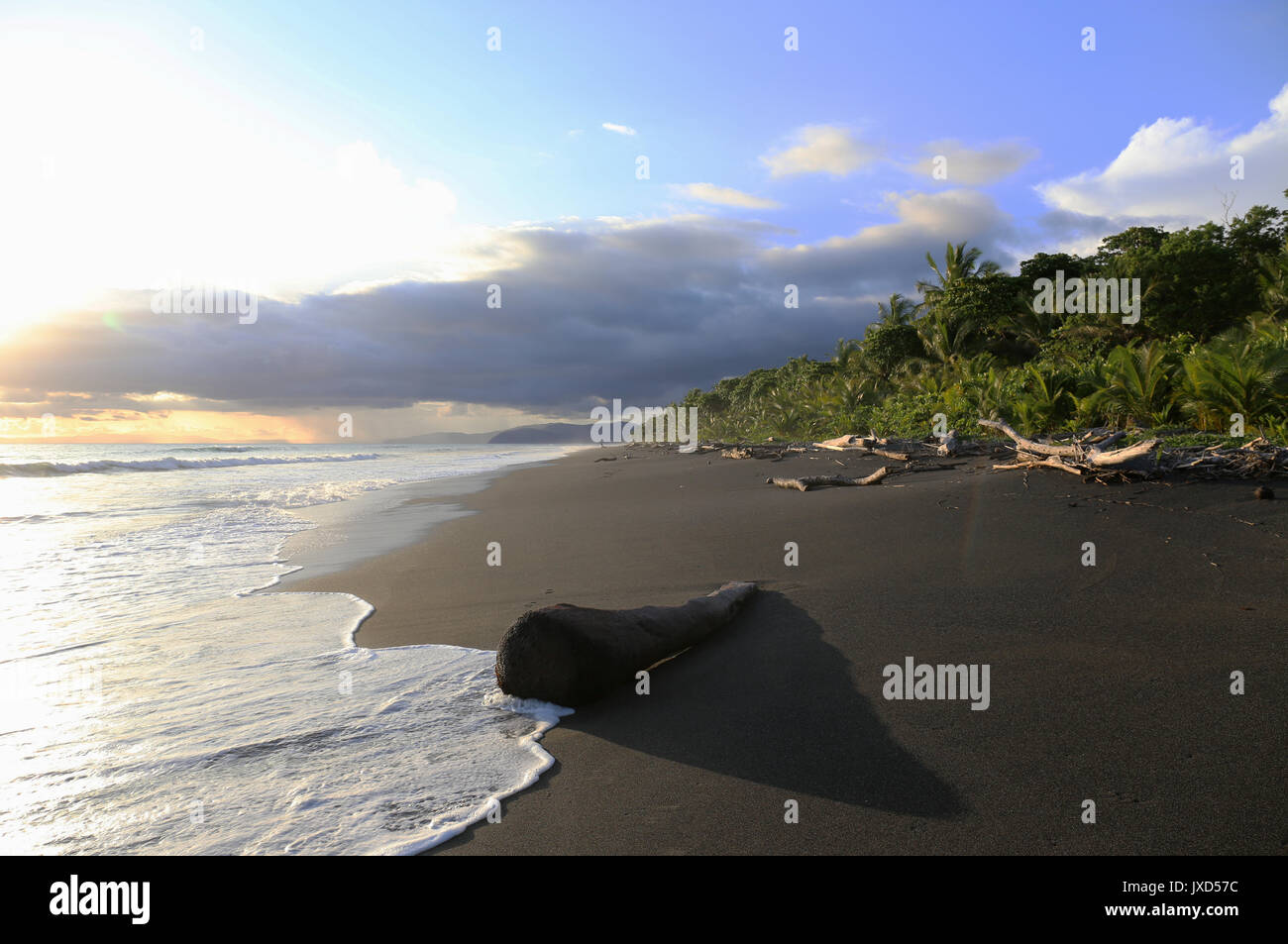 Black Sand Beach in Costa Rica Stock Photo Alamy