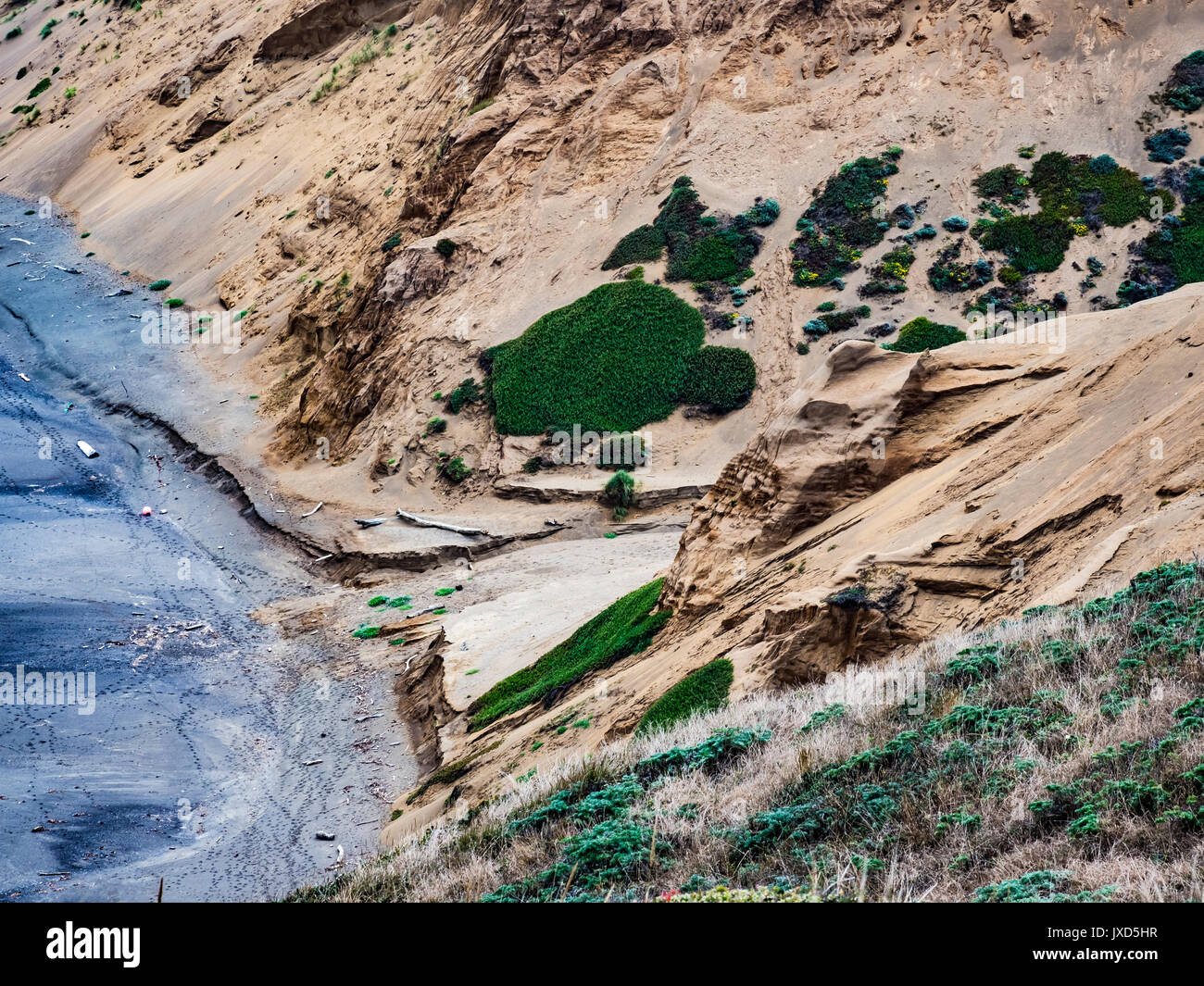 Pt reyes national seashore hi-res stock photography and images - Alamy
