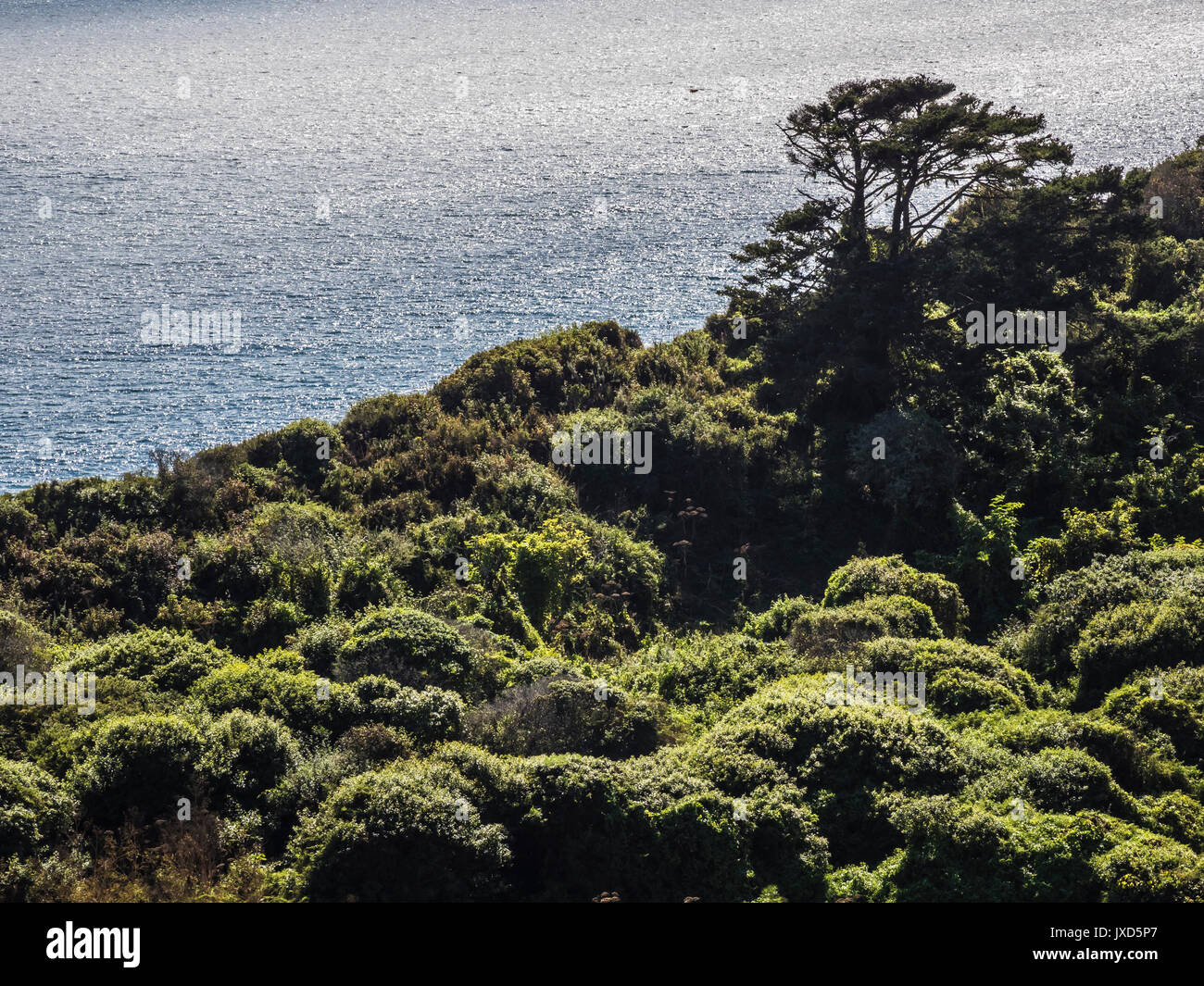 Point Reyes Observatory Point reyes bird observatory hi-res stock photography and images - Alamy
