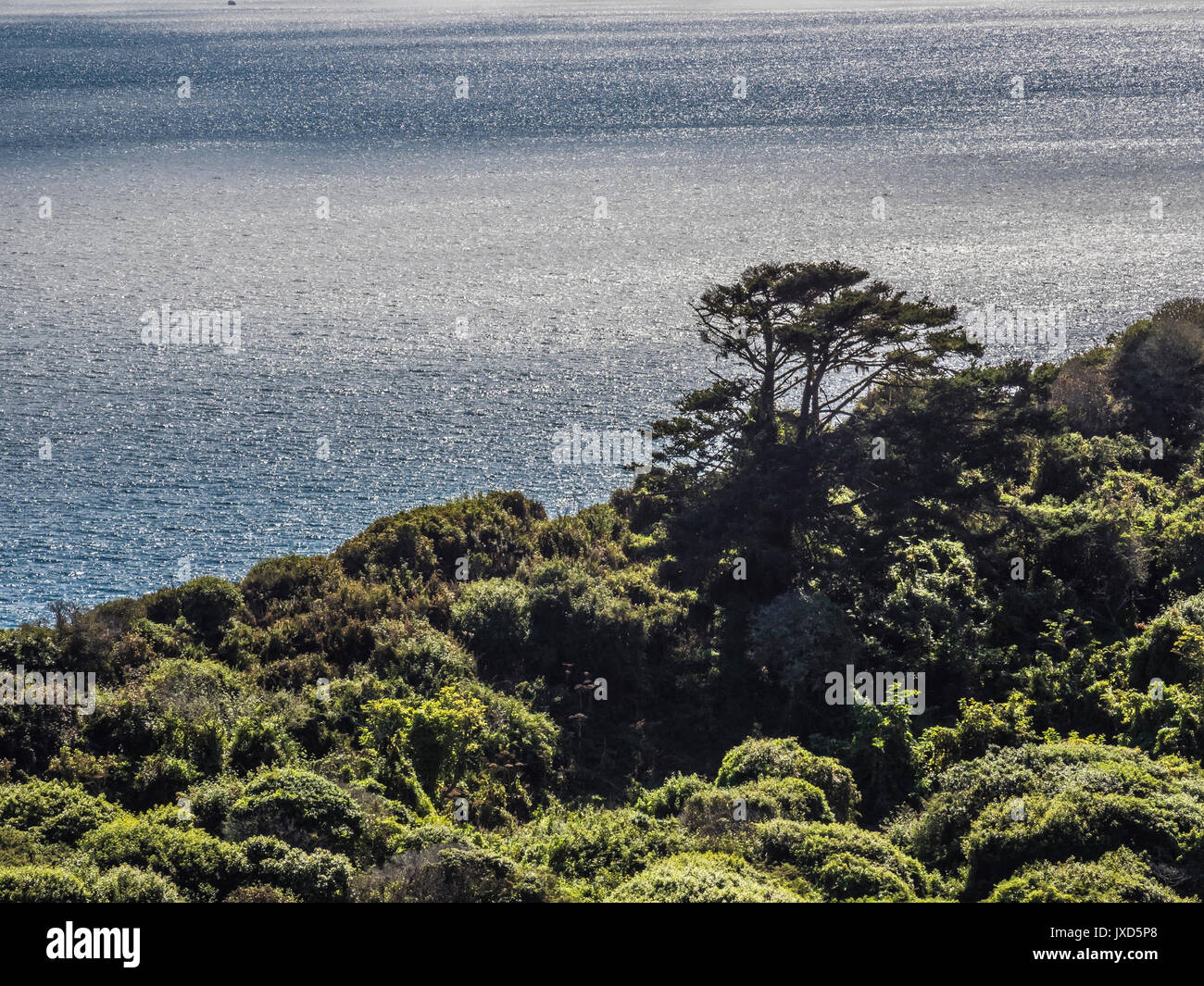 Point Reyes Observatory Point reyes bird observatory hi-res stock photography and images - Alamy