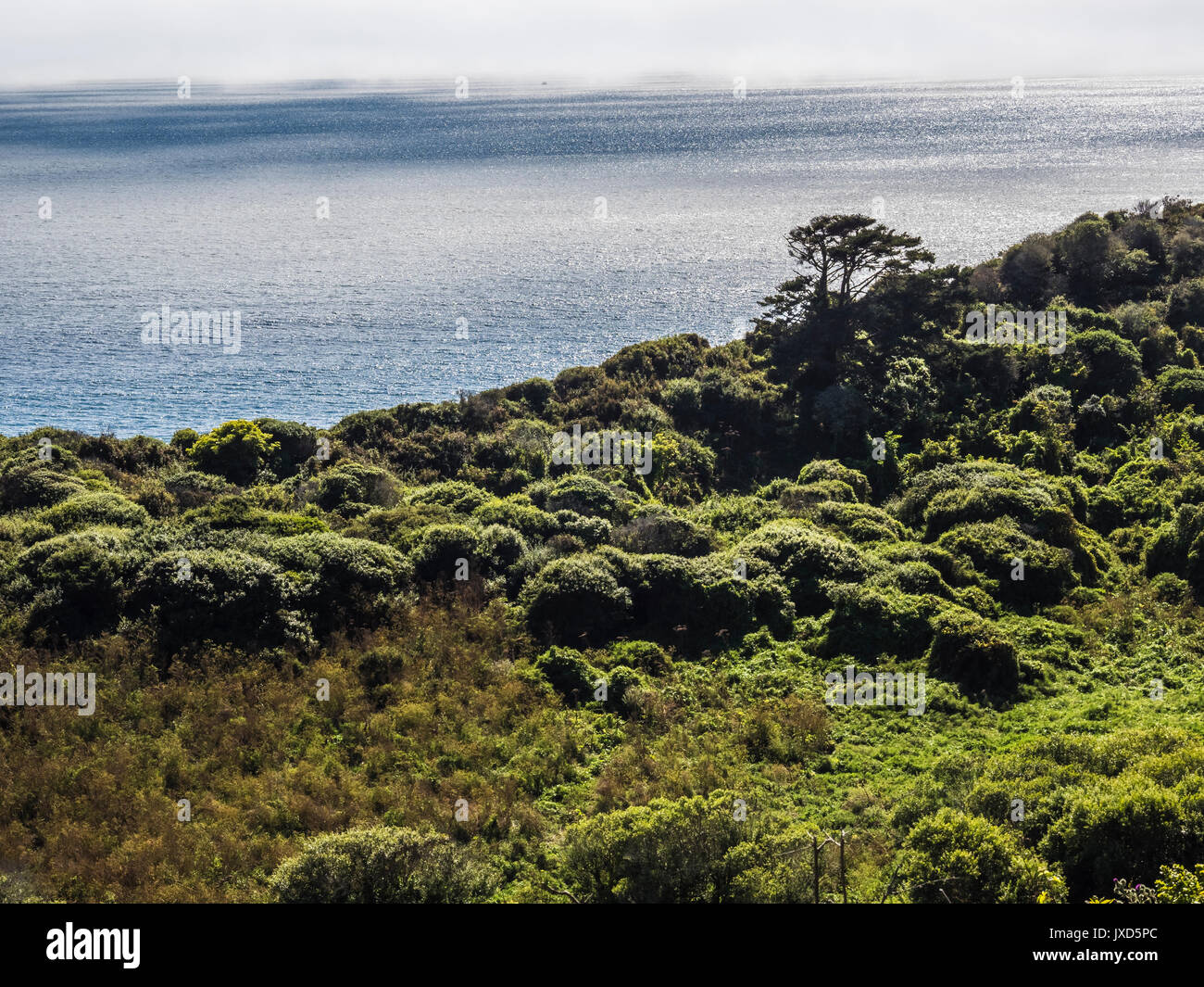 Point Reyes Observatory Point reyes bird observatory hi-res stock photography and images - Alamy