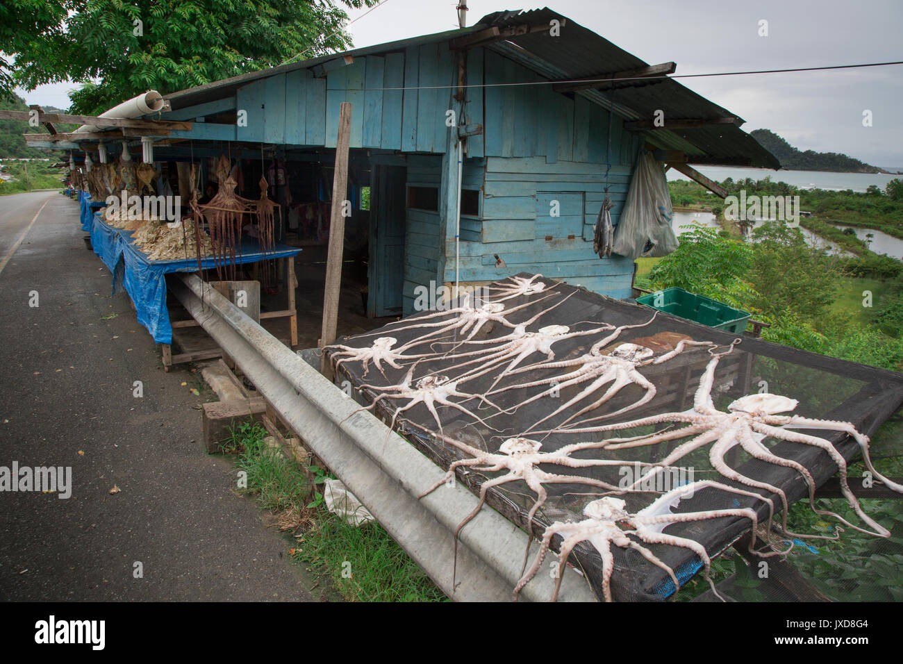 Dried octopus for sale on side of road in Aceh Stock Photo Alamy