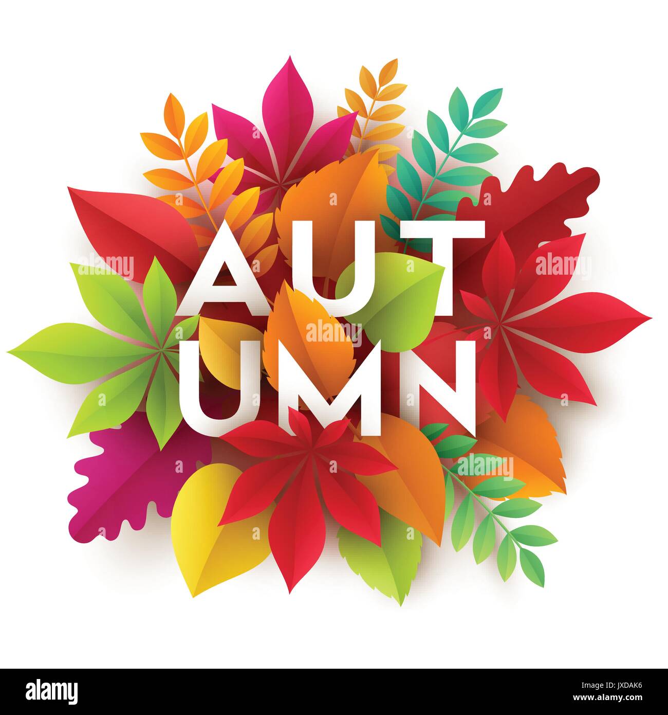 Autumn banner background with paper fall leaves. Vector illustration ...