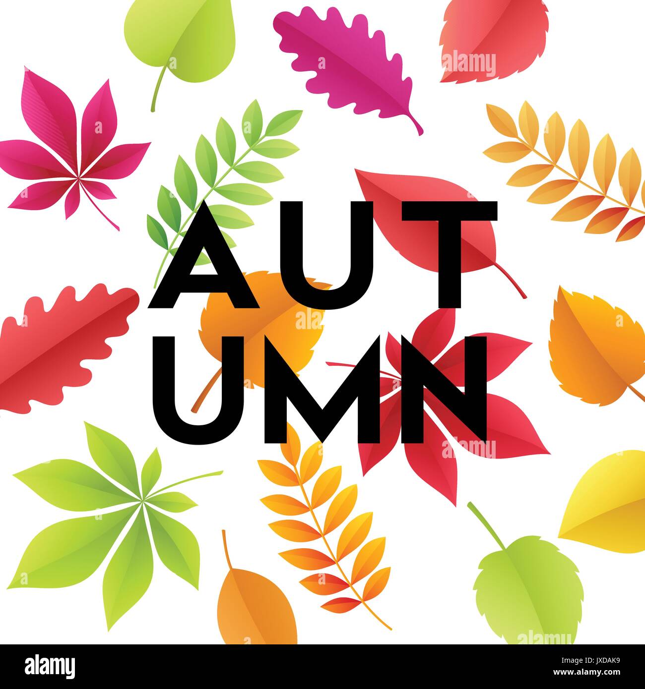 Autumn banner background with paper fall leaves. Vector illustration Stock Vector
