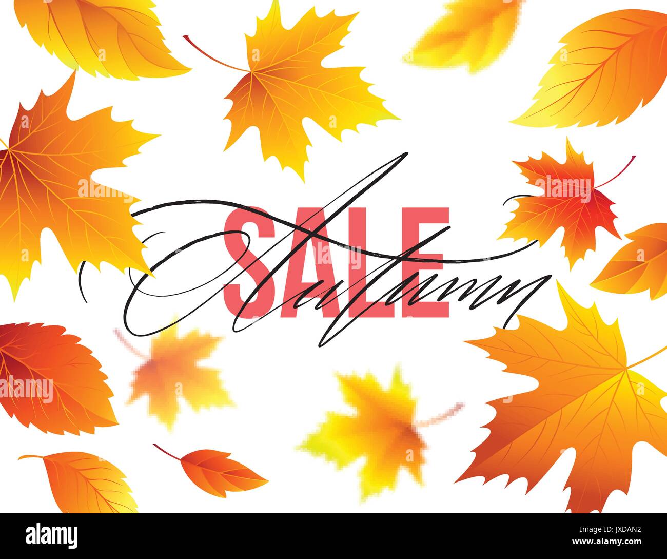 Autumn Sale banner background with fall leaves. Vector illustration Stock Vector