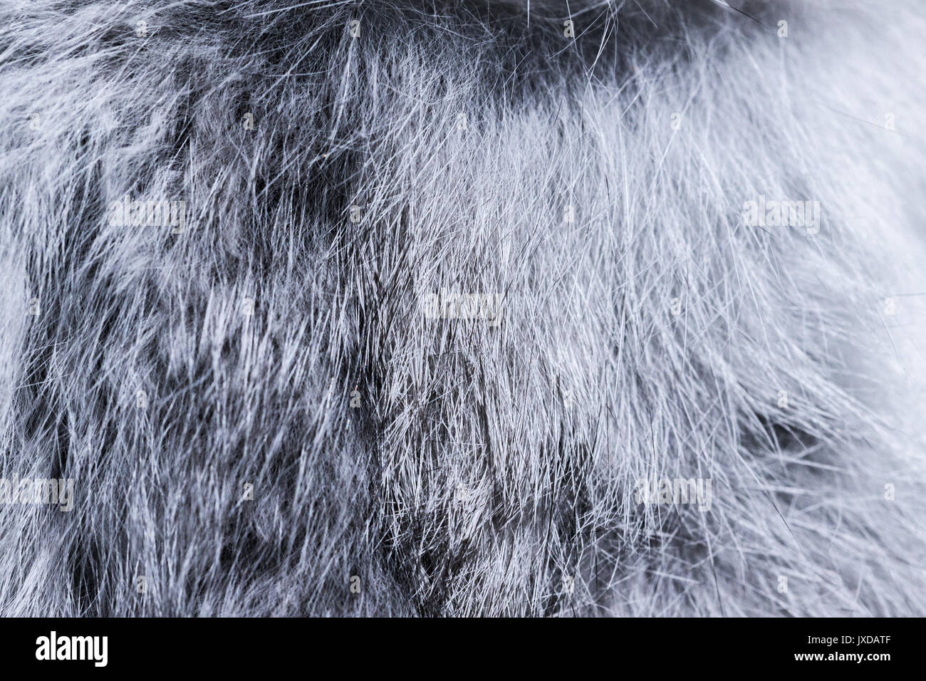 Buffalo fur texture hires stock photography and images Alamy