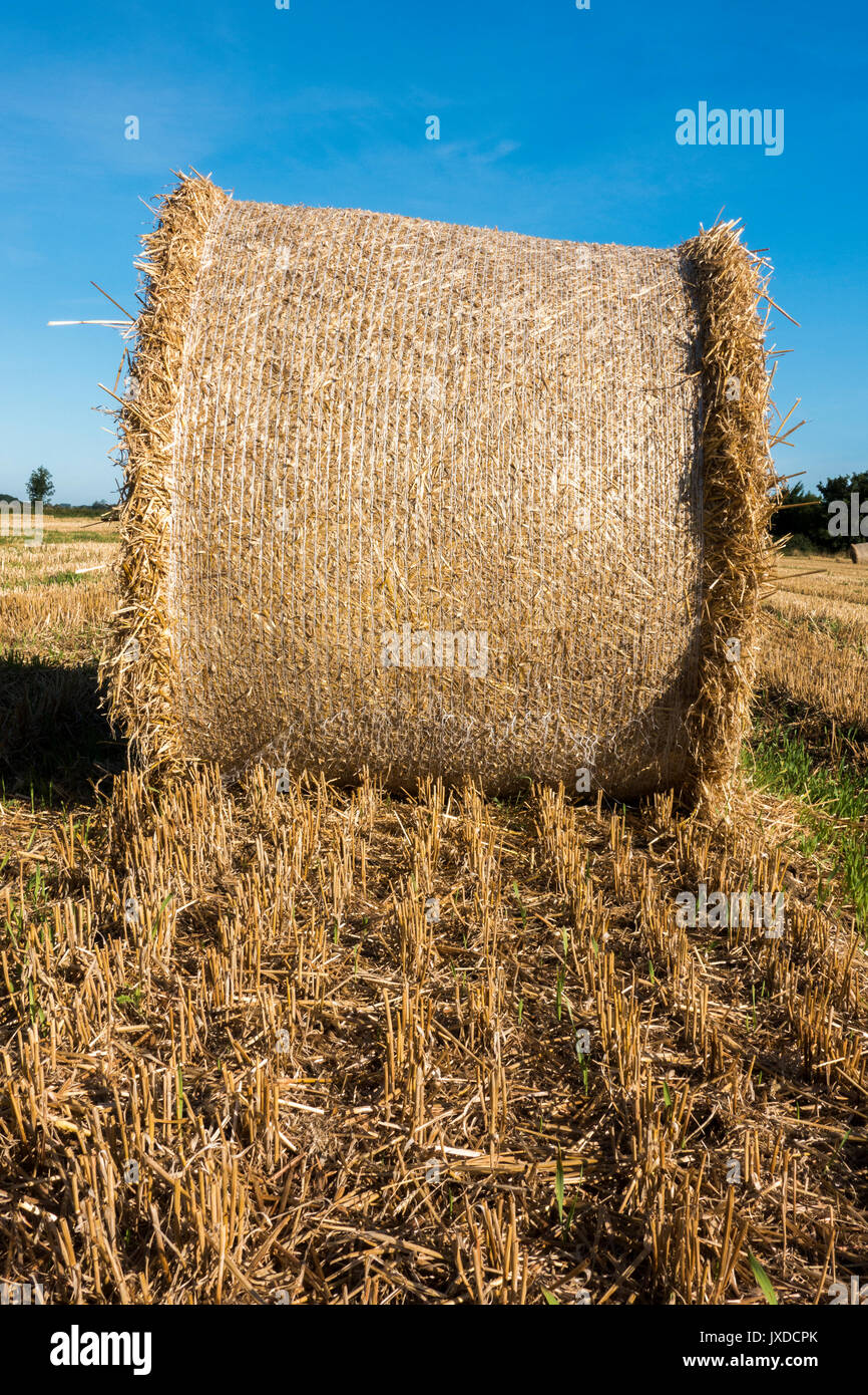 The scene in peterborough hires stock photography and images Alamy