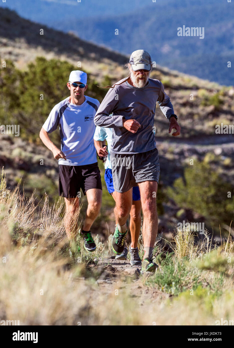 Male runners compete in the Fibark Festival trail run; Salida; Colorado; USA Stock Photo