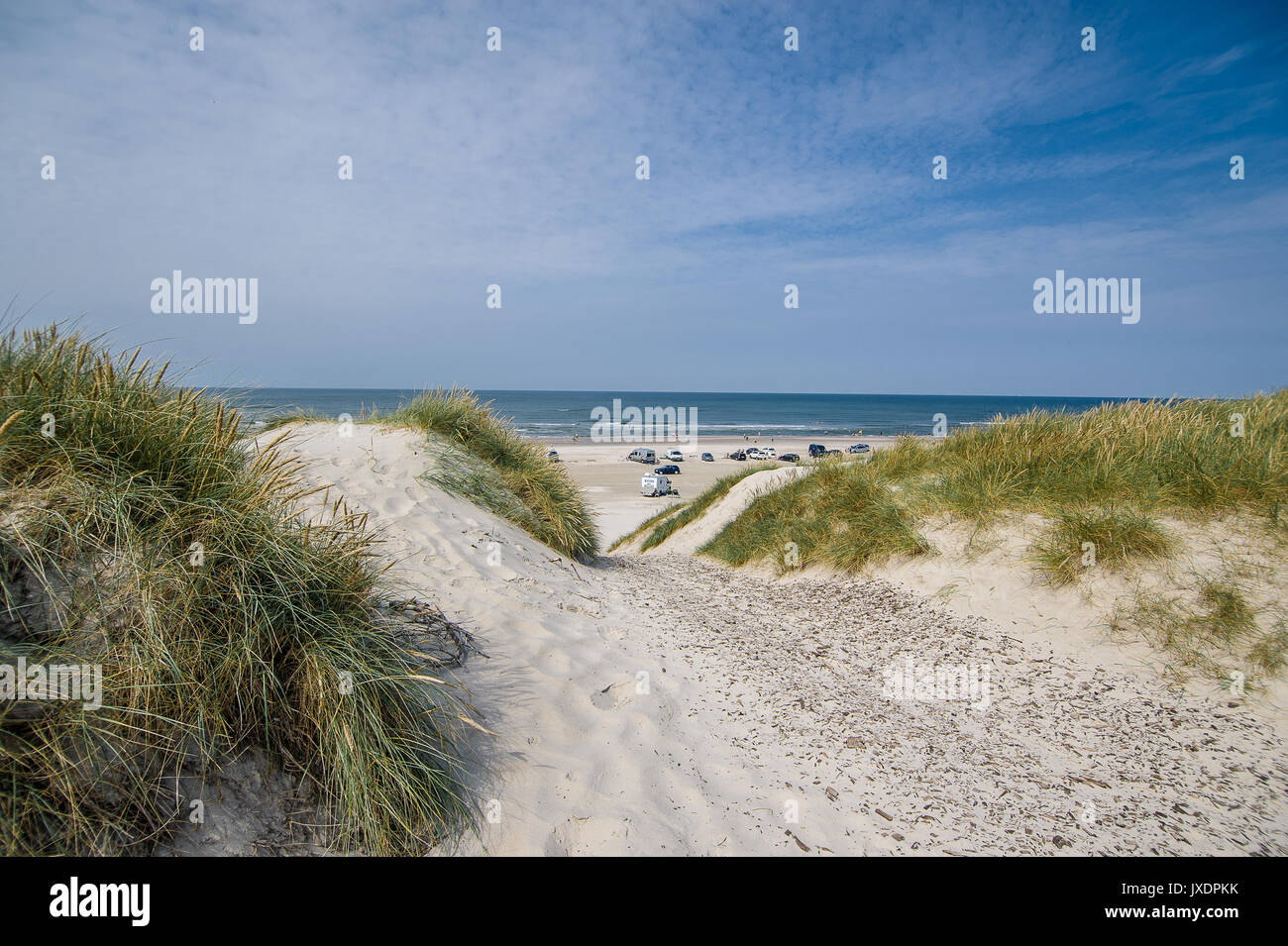 Henne Strand, beach open to automobiles in the South of Denmark Stock Photo