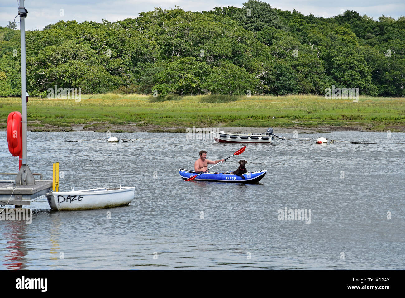 Man and dog on a Kayak on Beaulieu river at Bucklers Hard, New Forest