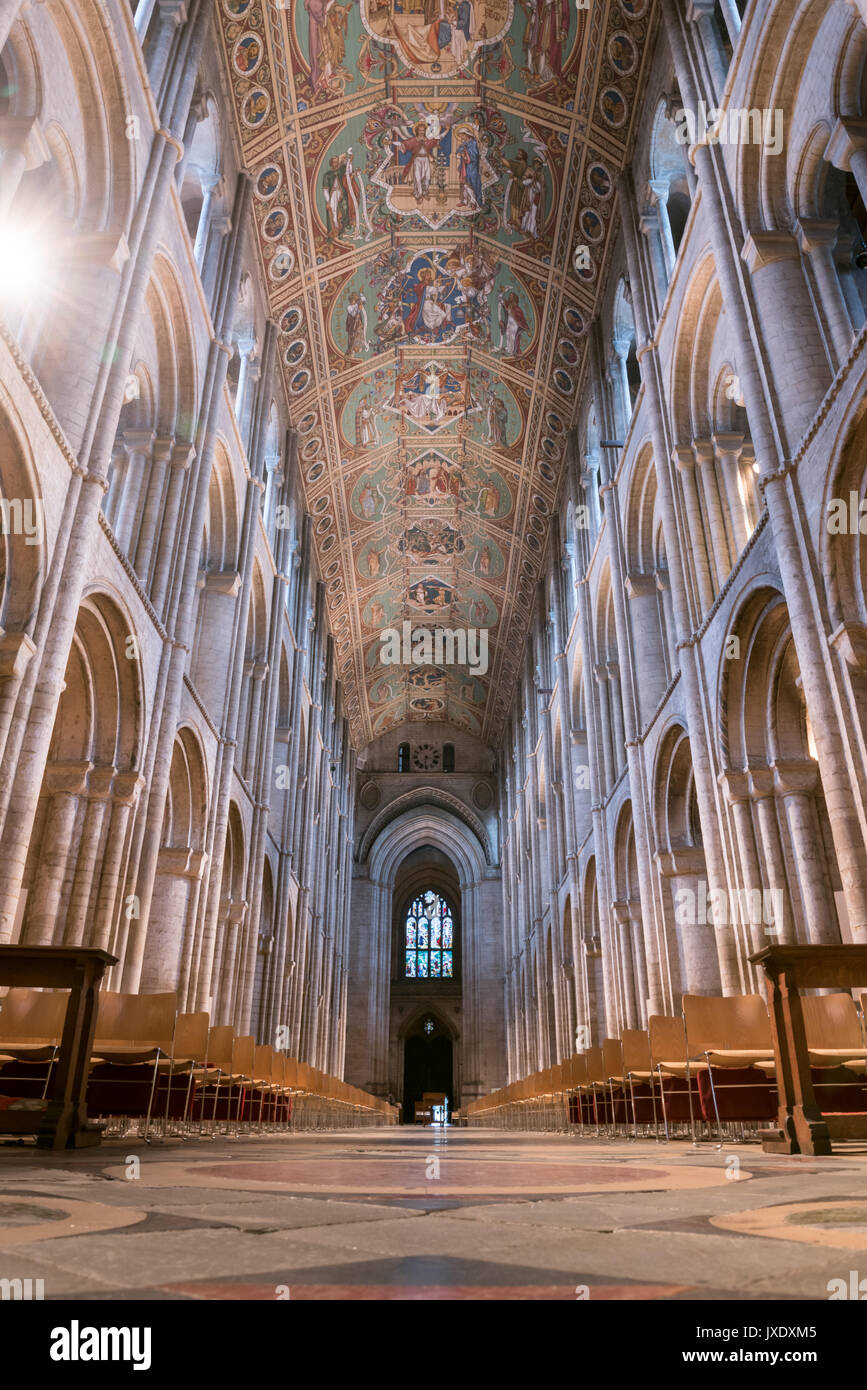 Timber Vaulting Medieval timber vaulting hi-res stock photography and images - Alamy