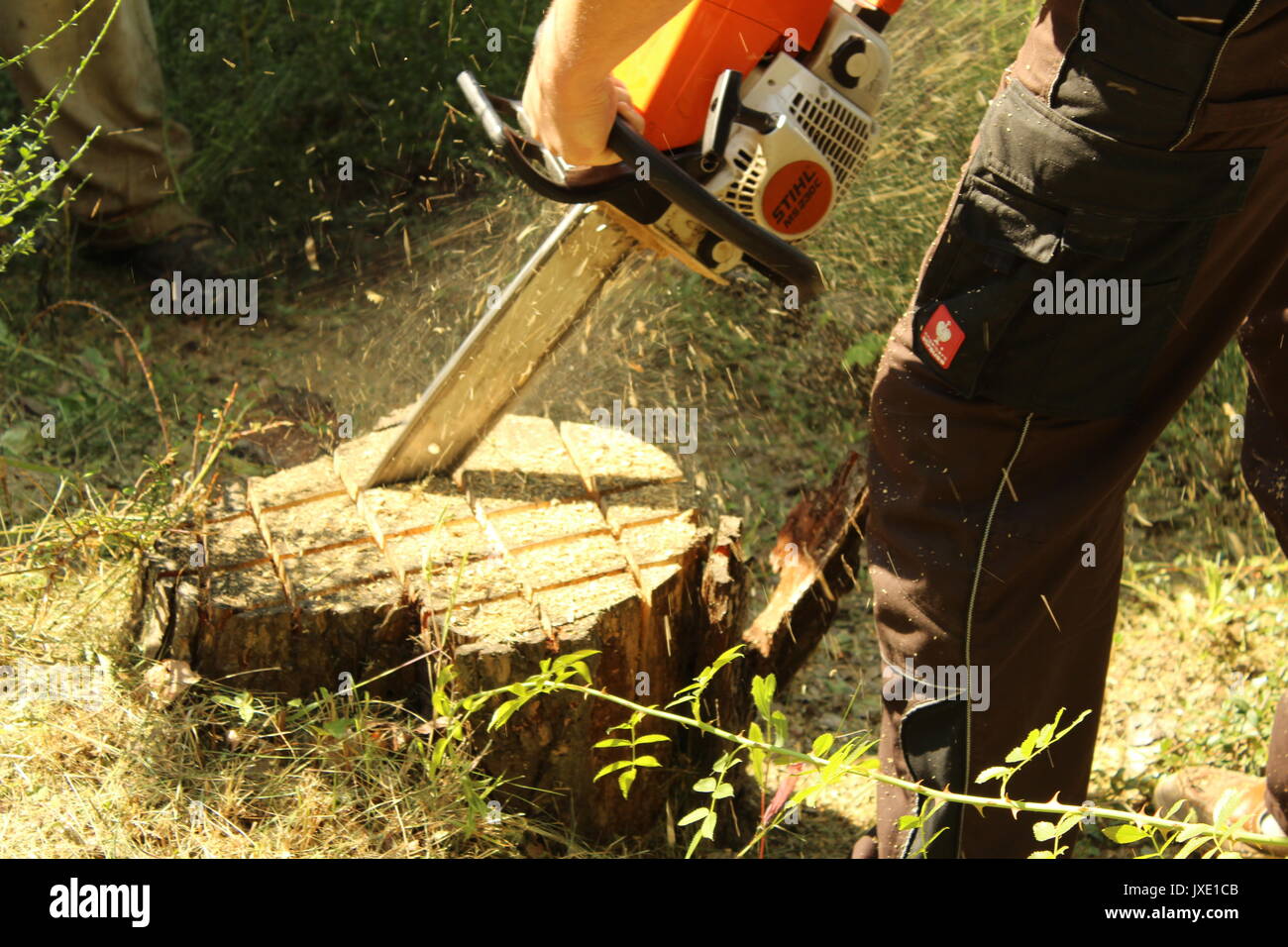 Stihl chainsaw Stock Photo