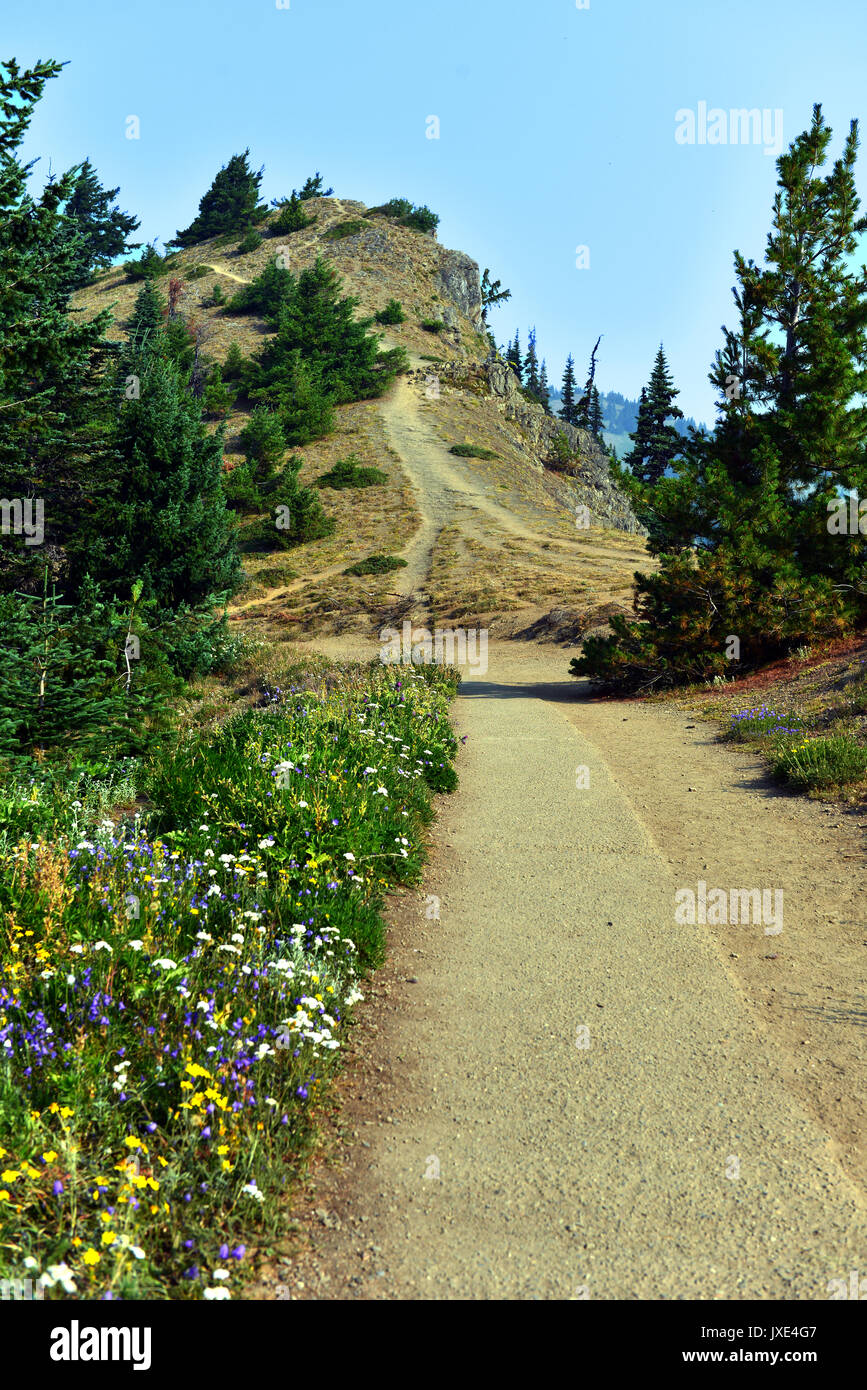 Olympic National Park has three distinct ecosystems which are sub