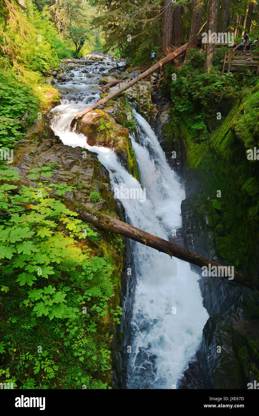 Olympic National Park has three distinct ecosystems which are sub